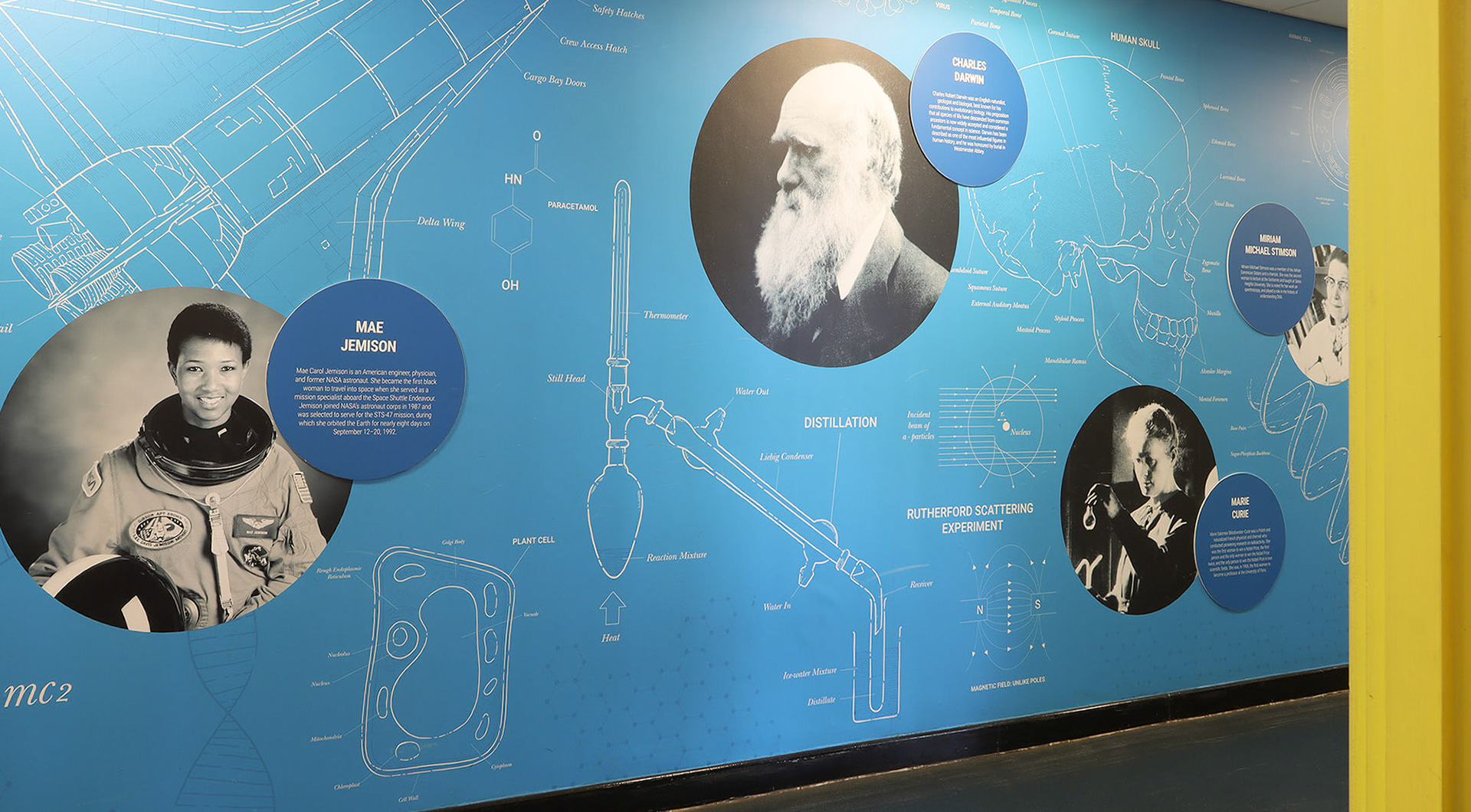 Blueprint Science (bluee) - STED1