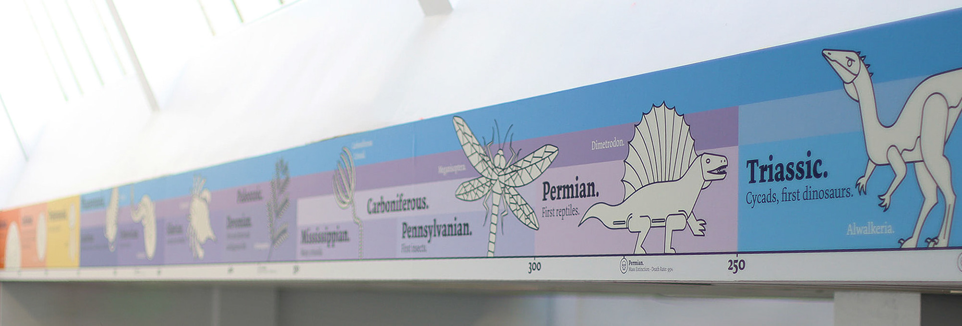 Geological Era Timeline - OLSC01