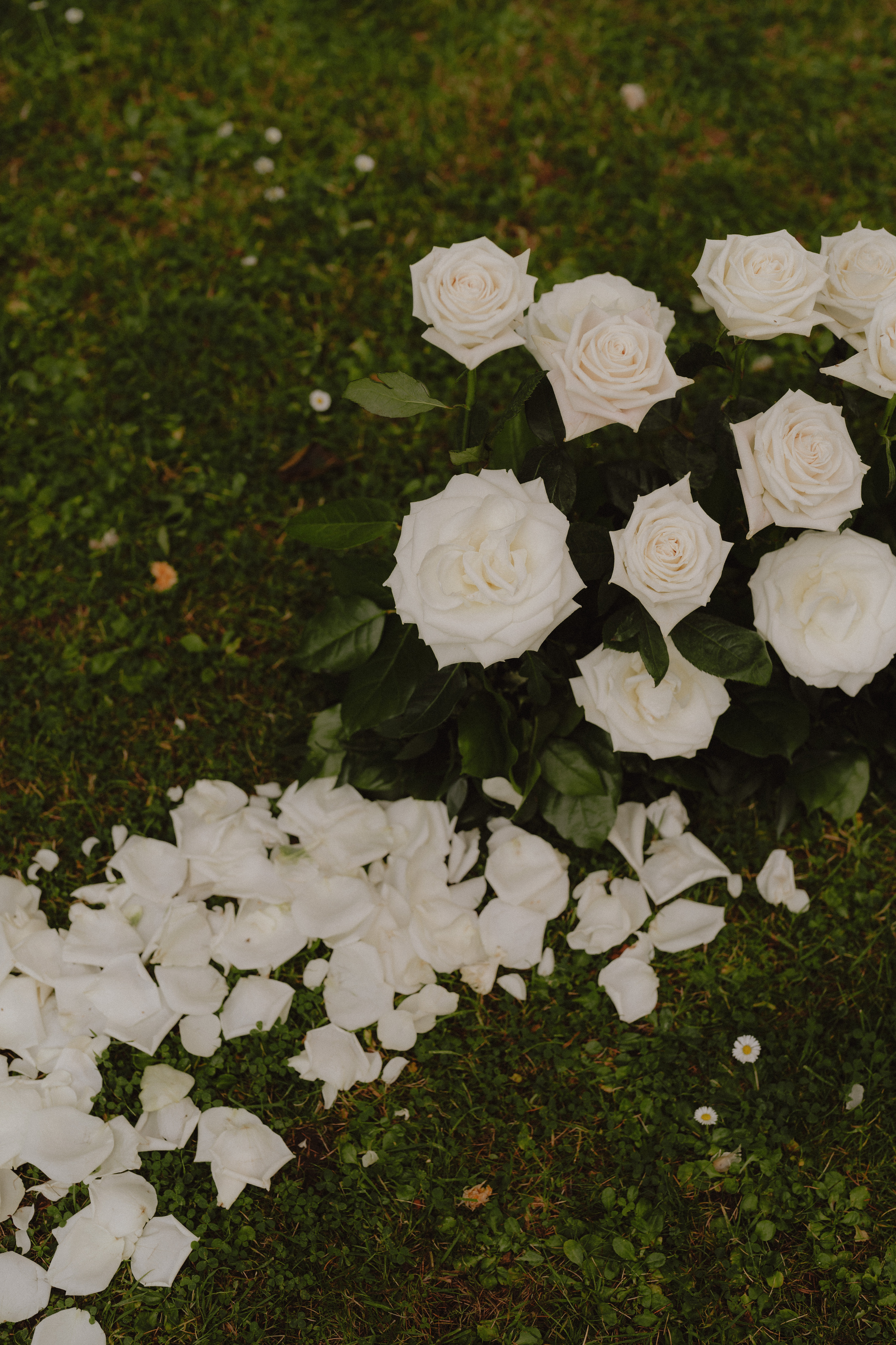 Joe Hall Photography