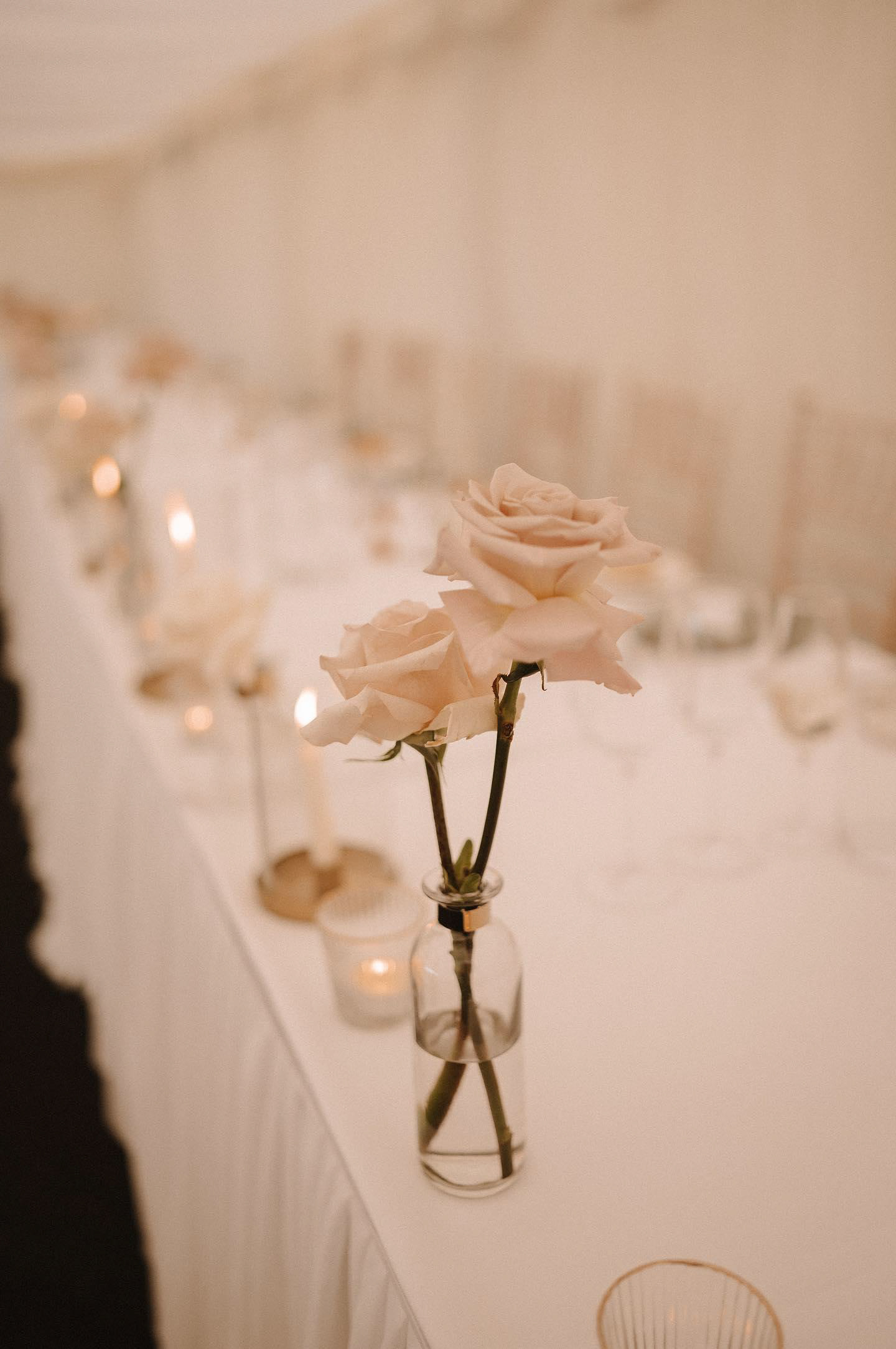 Christie Johnston Photography