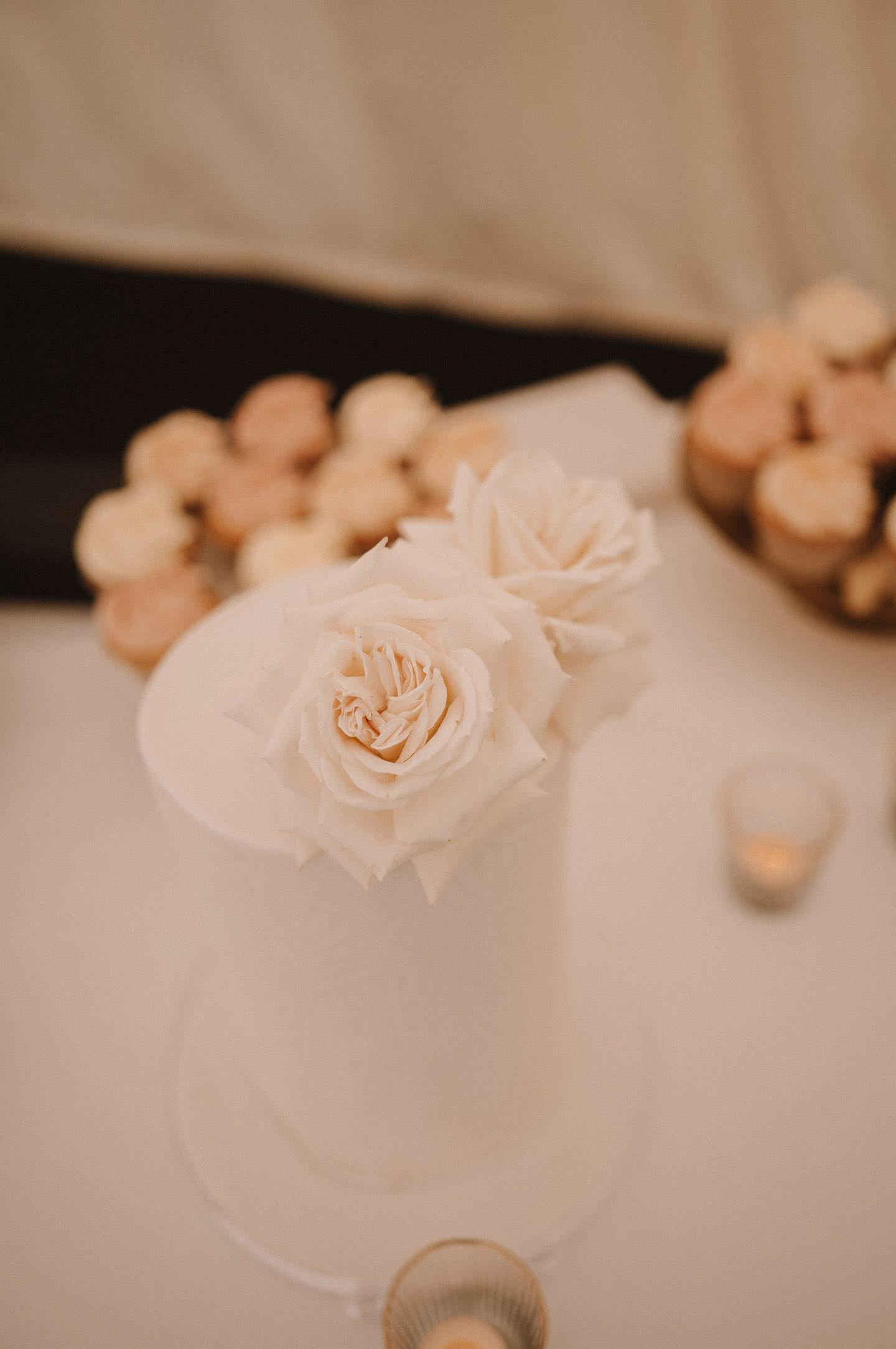 Christie Johnston Photo