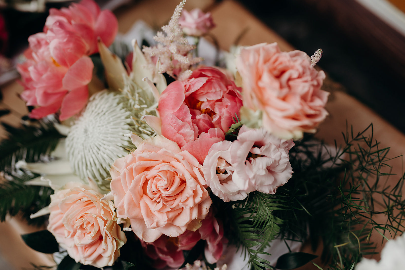 HAYLEY FRASER PHOTOGRAPHY