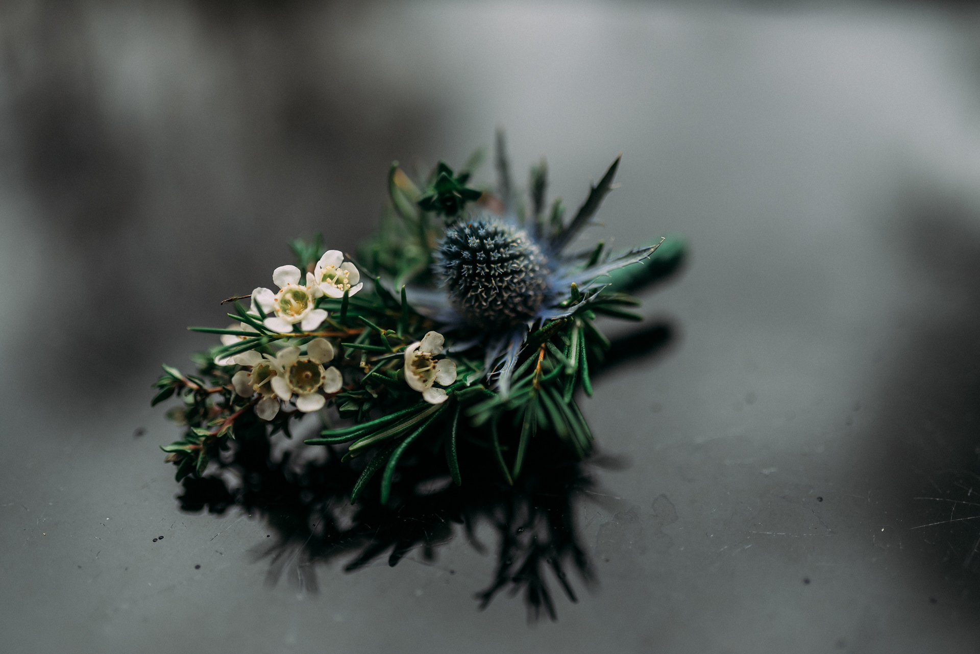 Burfly Photography