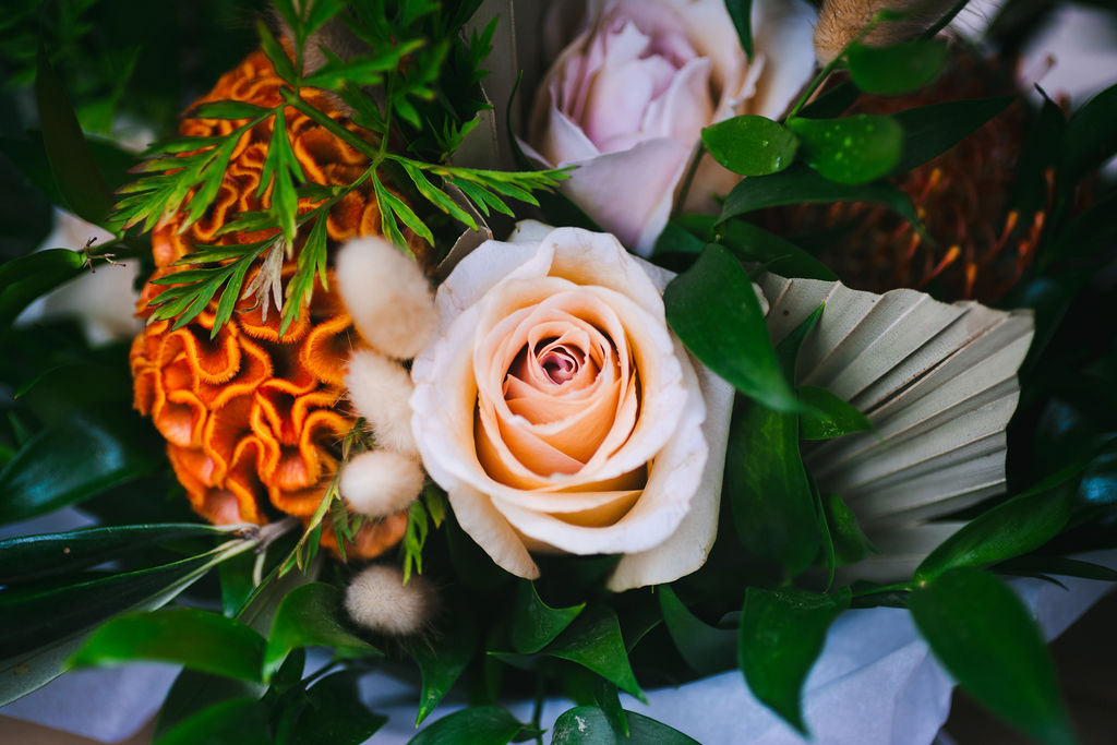 Lewis Cannon Photography