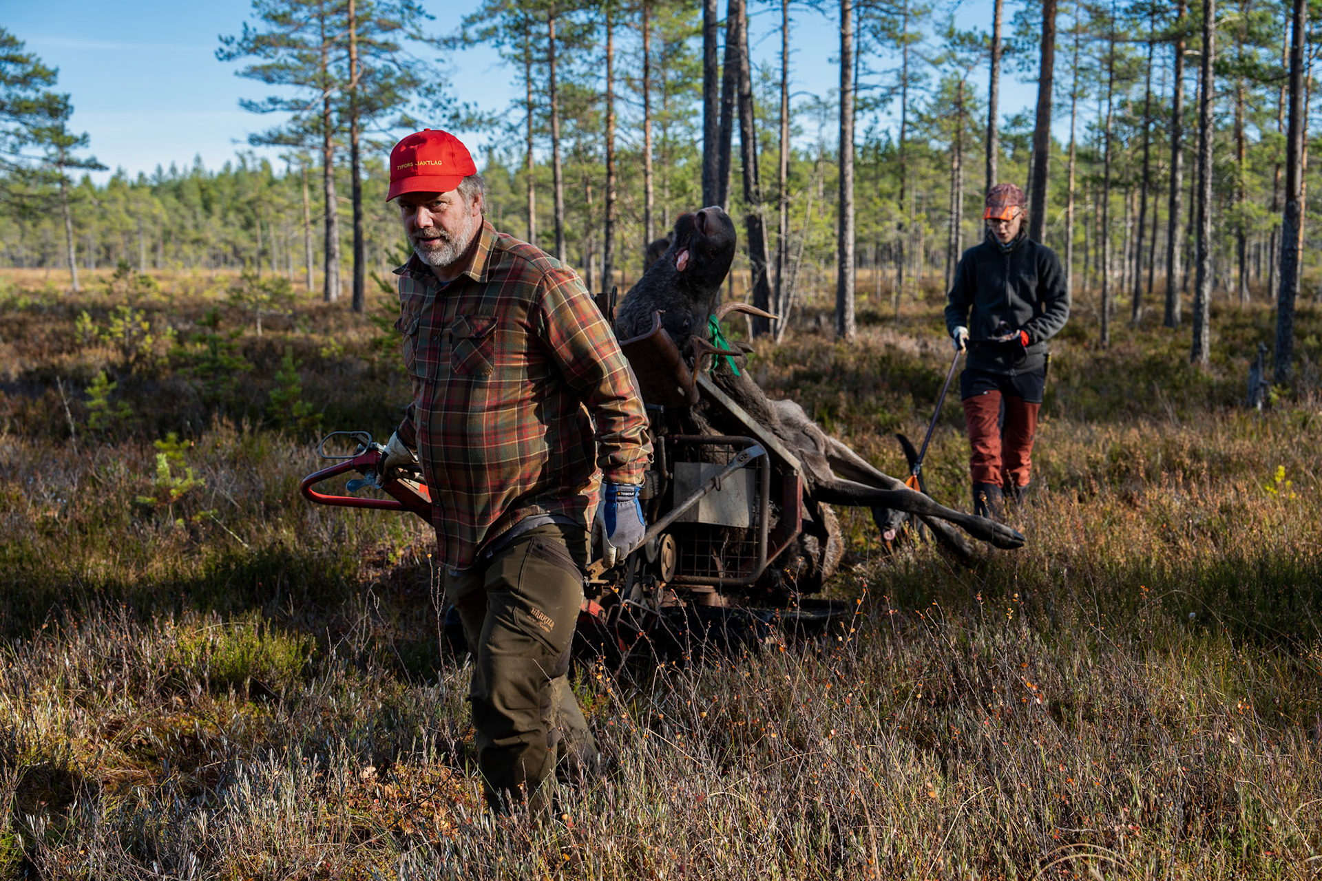 Älgjakt med Tyfors jaktklubb