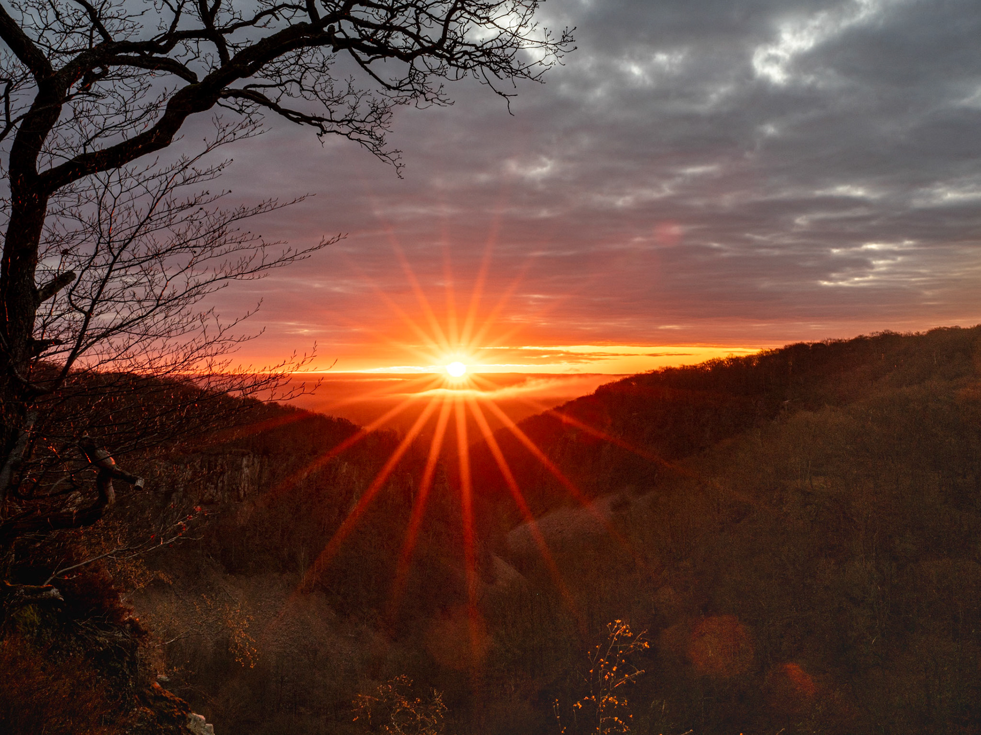 Sunrice at Söderåsen Nationalpark