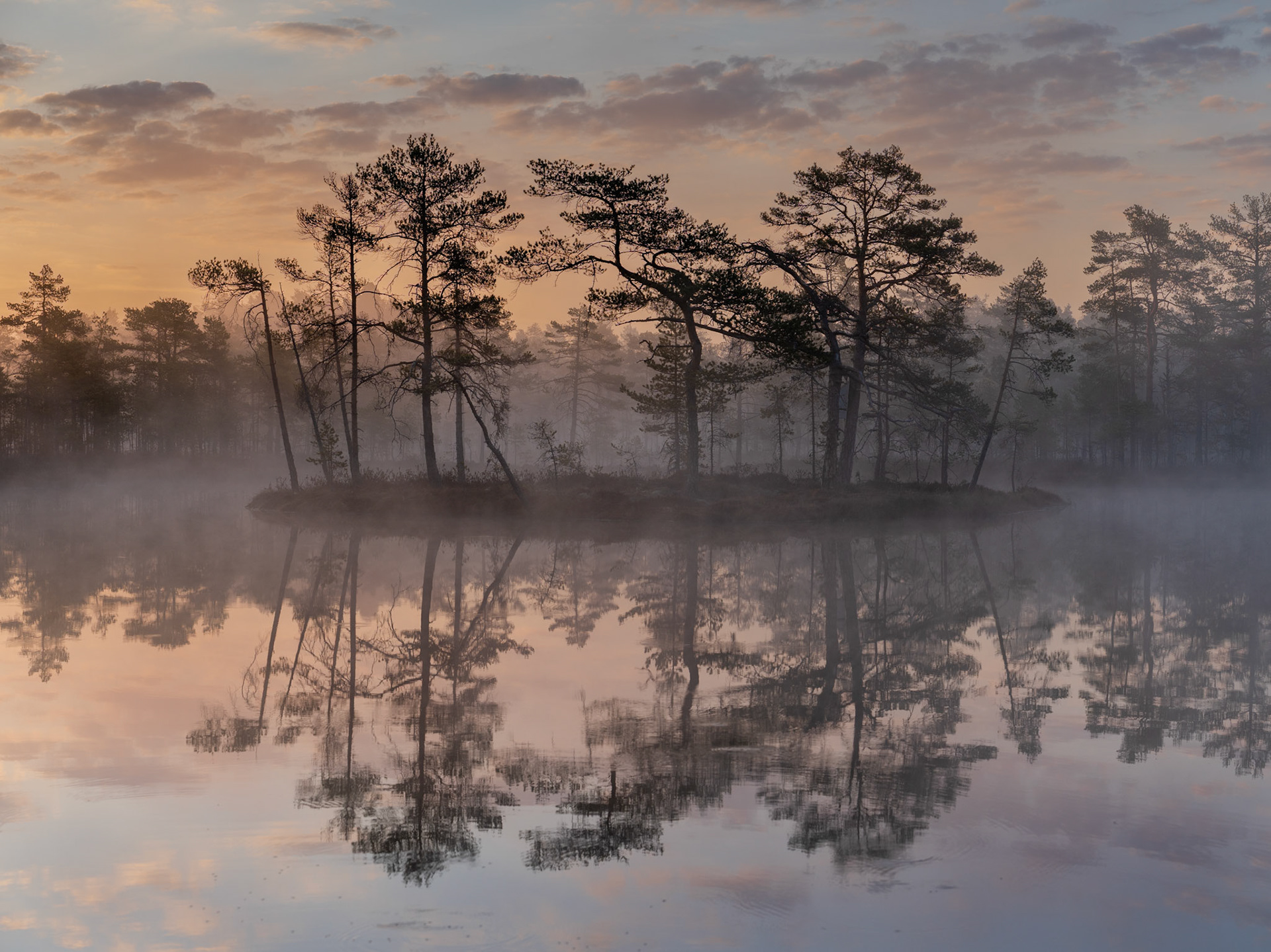 Sunshine on an early morning - SM Landskapsfoto 2023