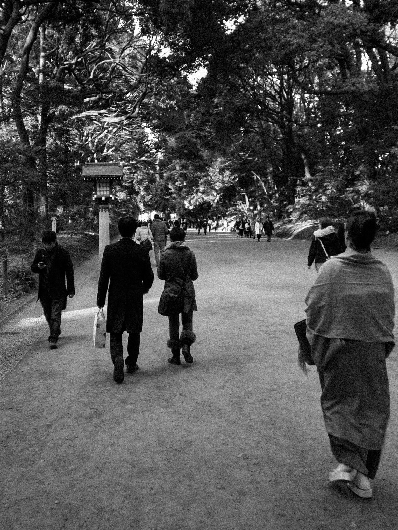 Yoyougi park, Tokyo, Japan