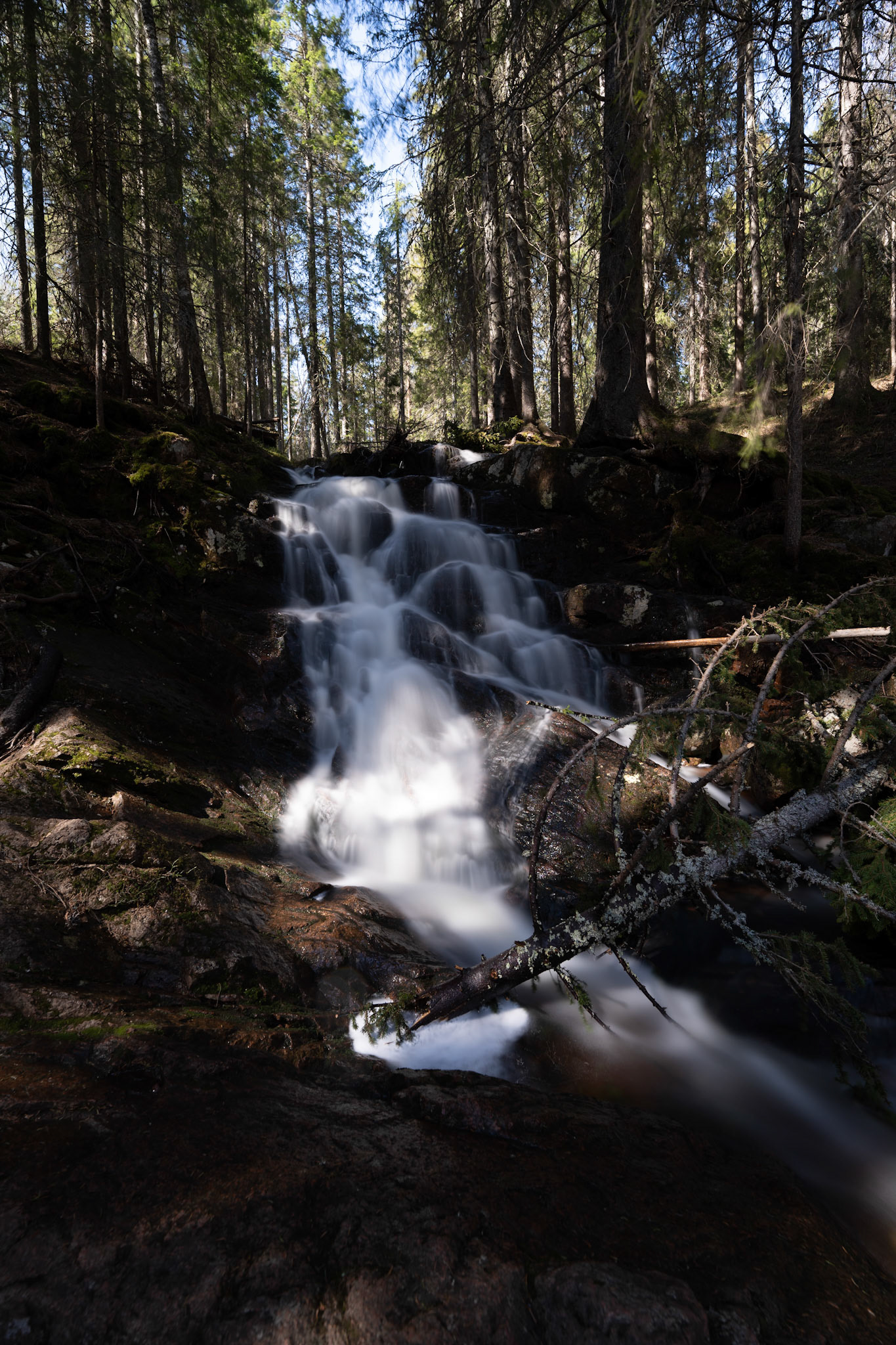 Skuleskogens nationalpark