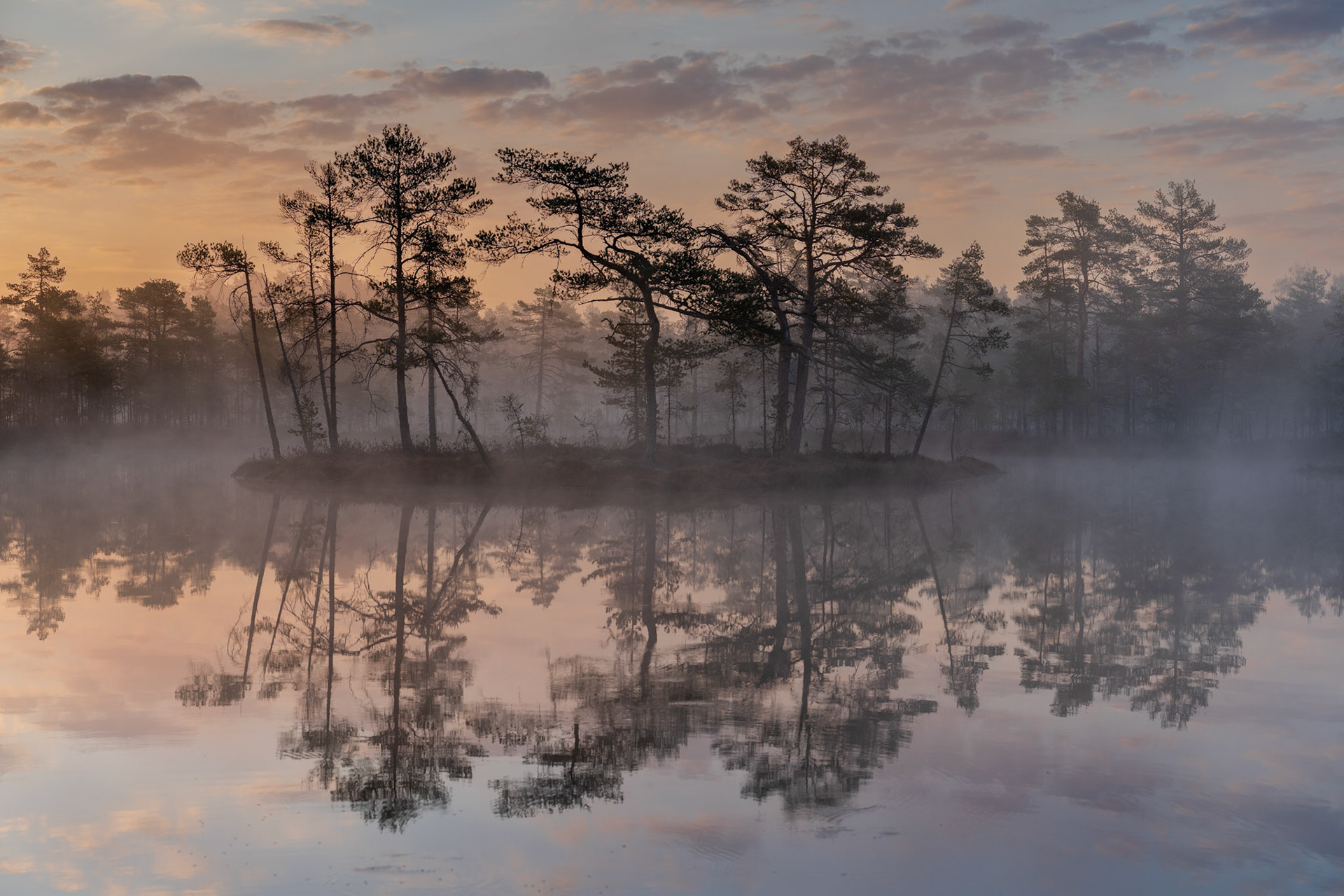 Sunshine on an early morning - SM Landskapsfoto 2023
