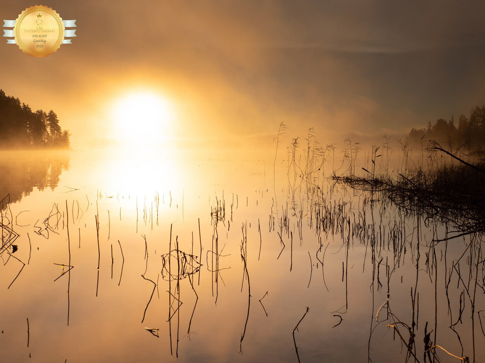 Svenskt Mästerskap Fotografi 2022 - Finalist Landskap