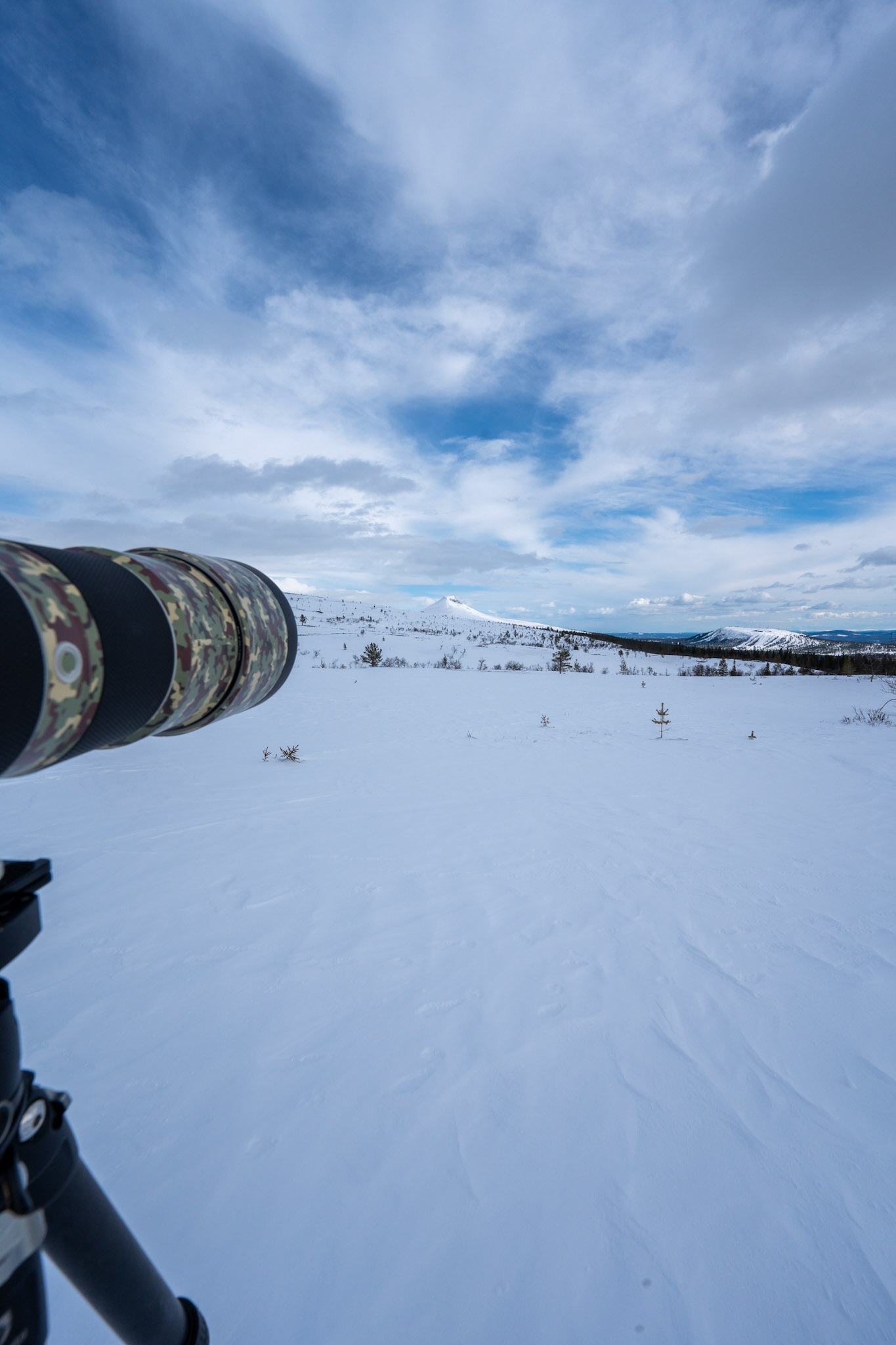 Städjan-Nipfjället