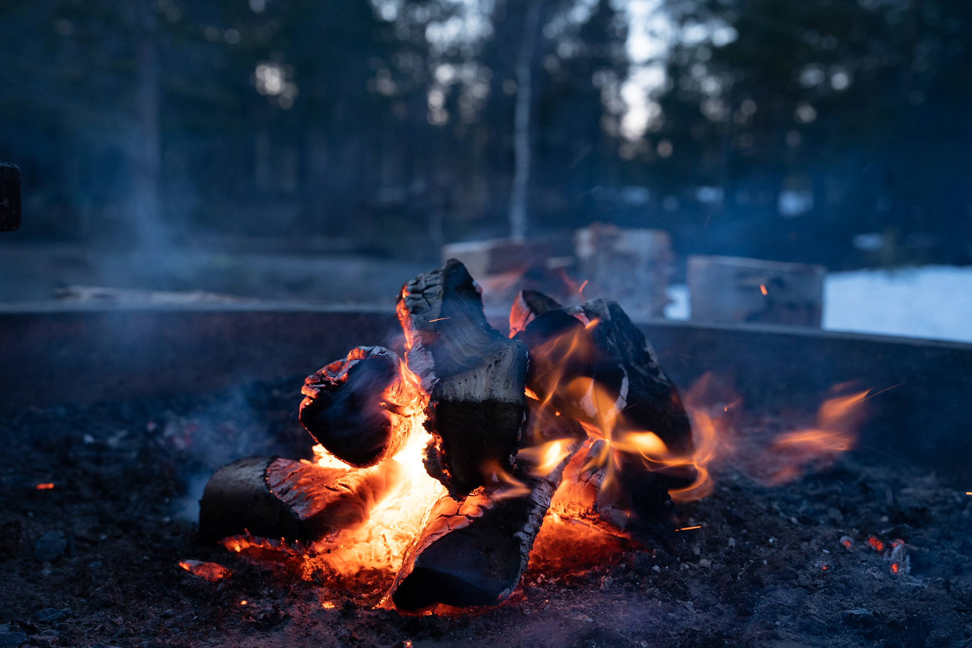 Skuleskogens nationalpark