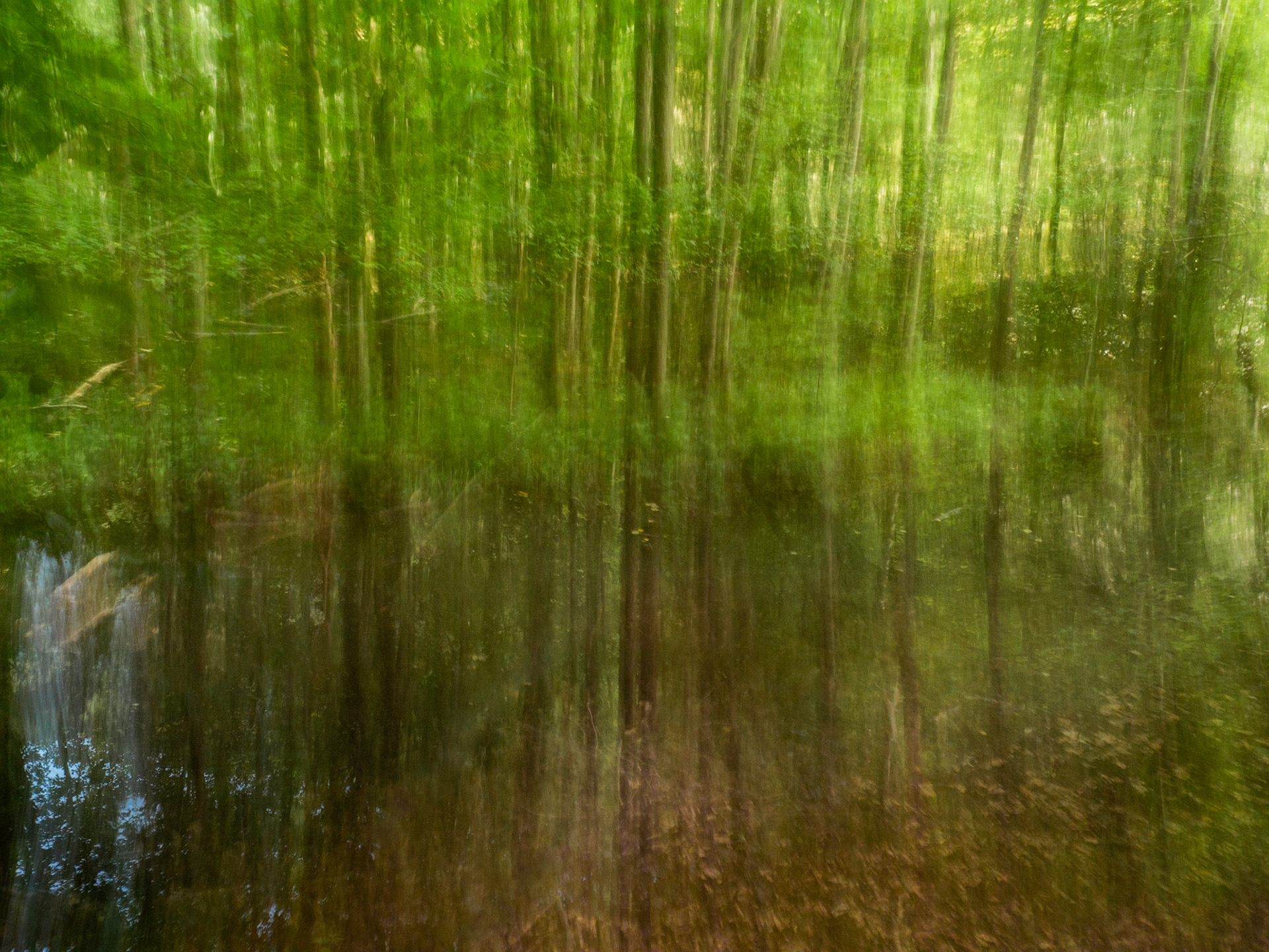 Söderåsens nationalpark