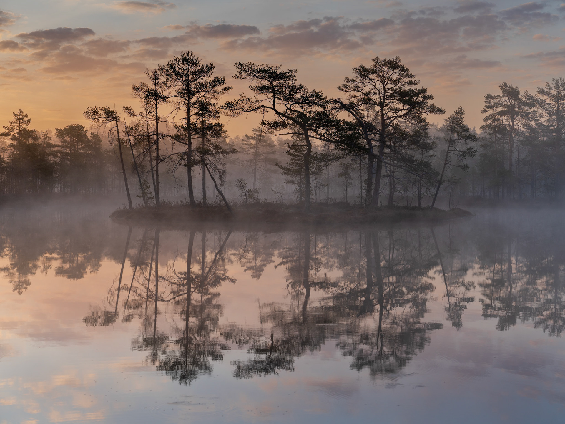 Sunshine on an early morning - SM Landskapsfoto 2023