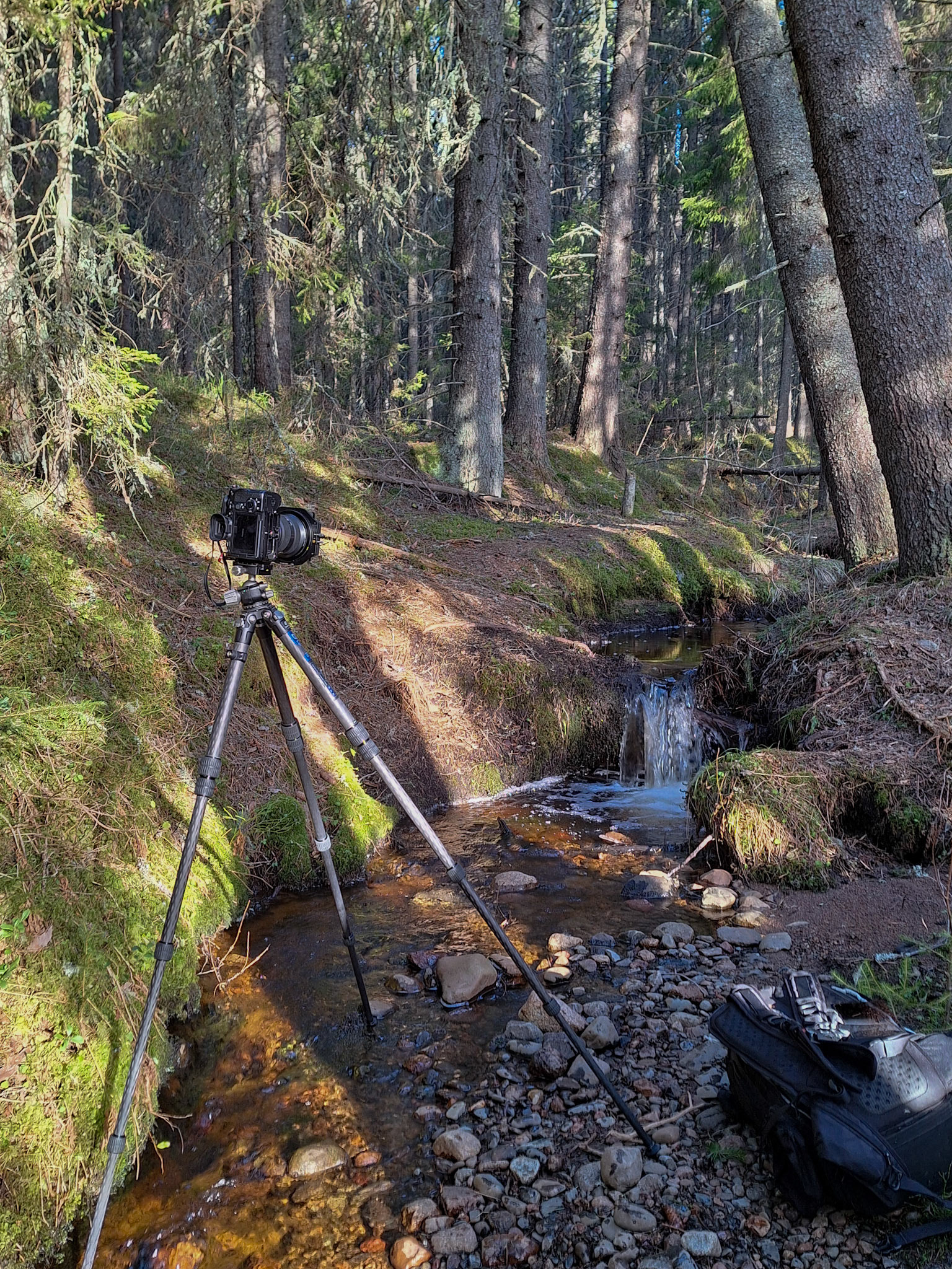 Skuleskogens nationalpark