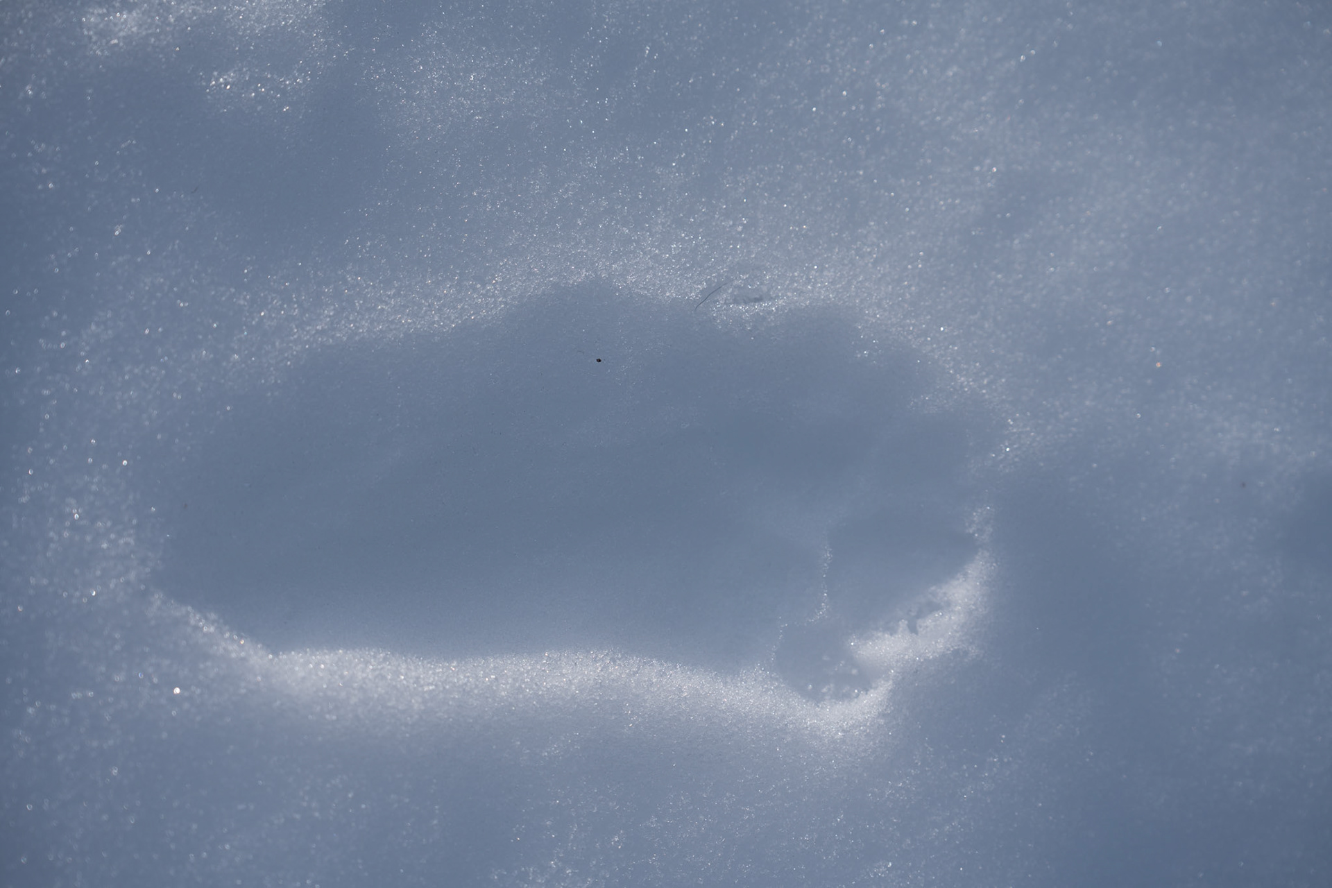 Fulufjällets nationalpark