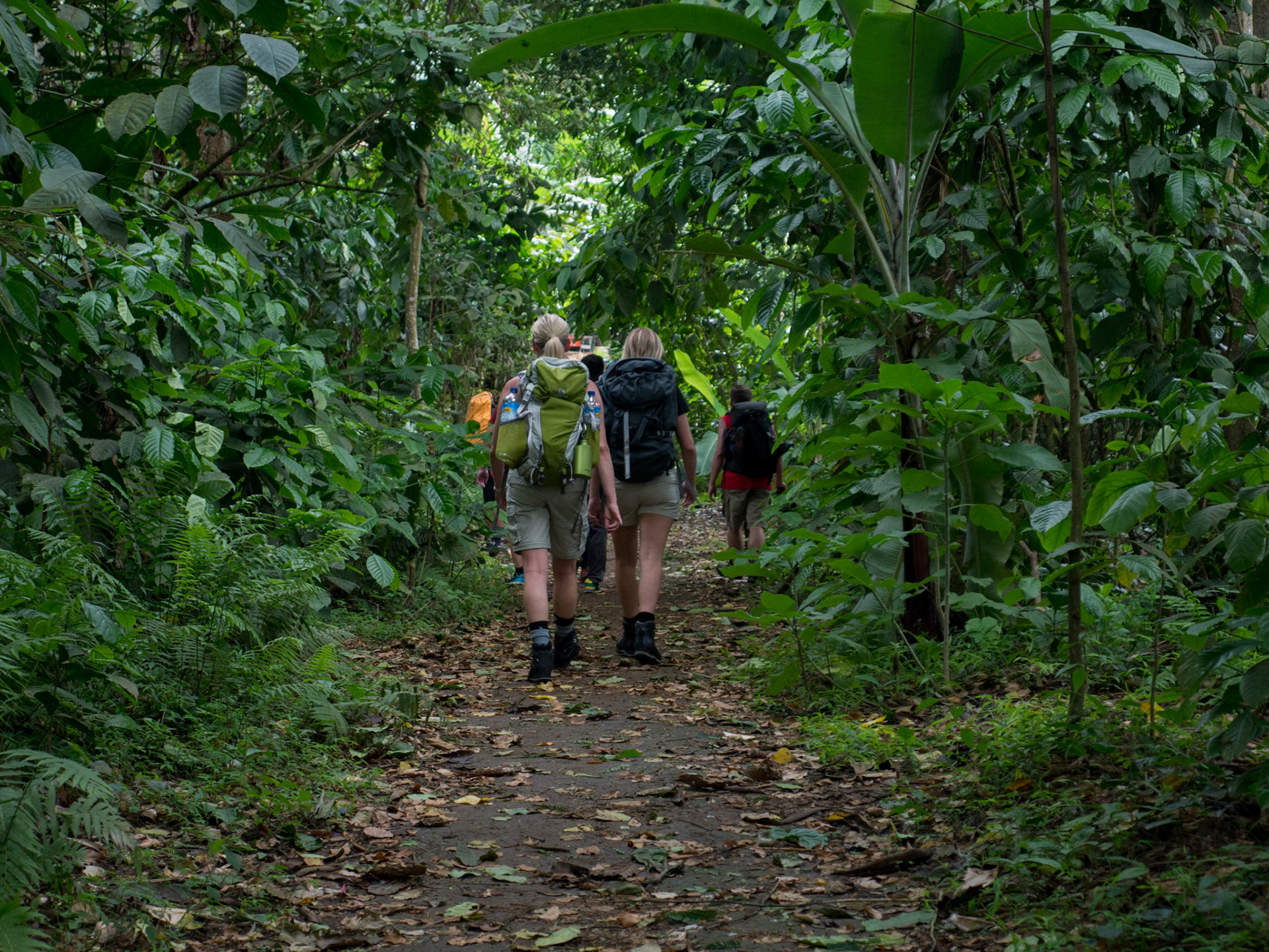 Lombok, vandra till vulkansjön, Indonesien