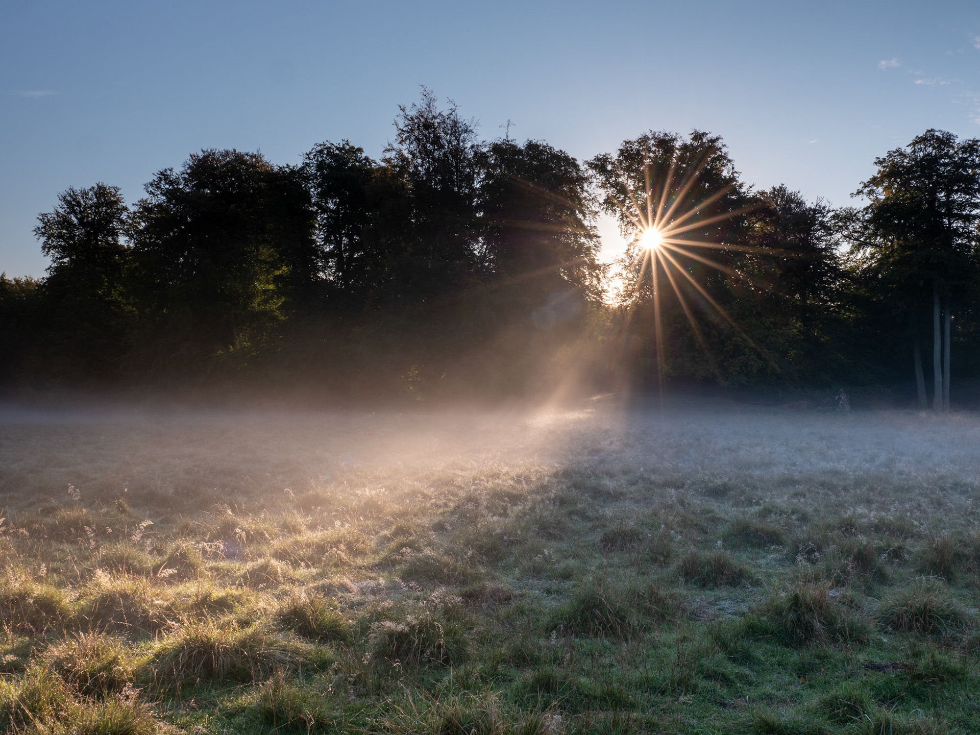 Jægersborg Dyrehave, Denmark