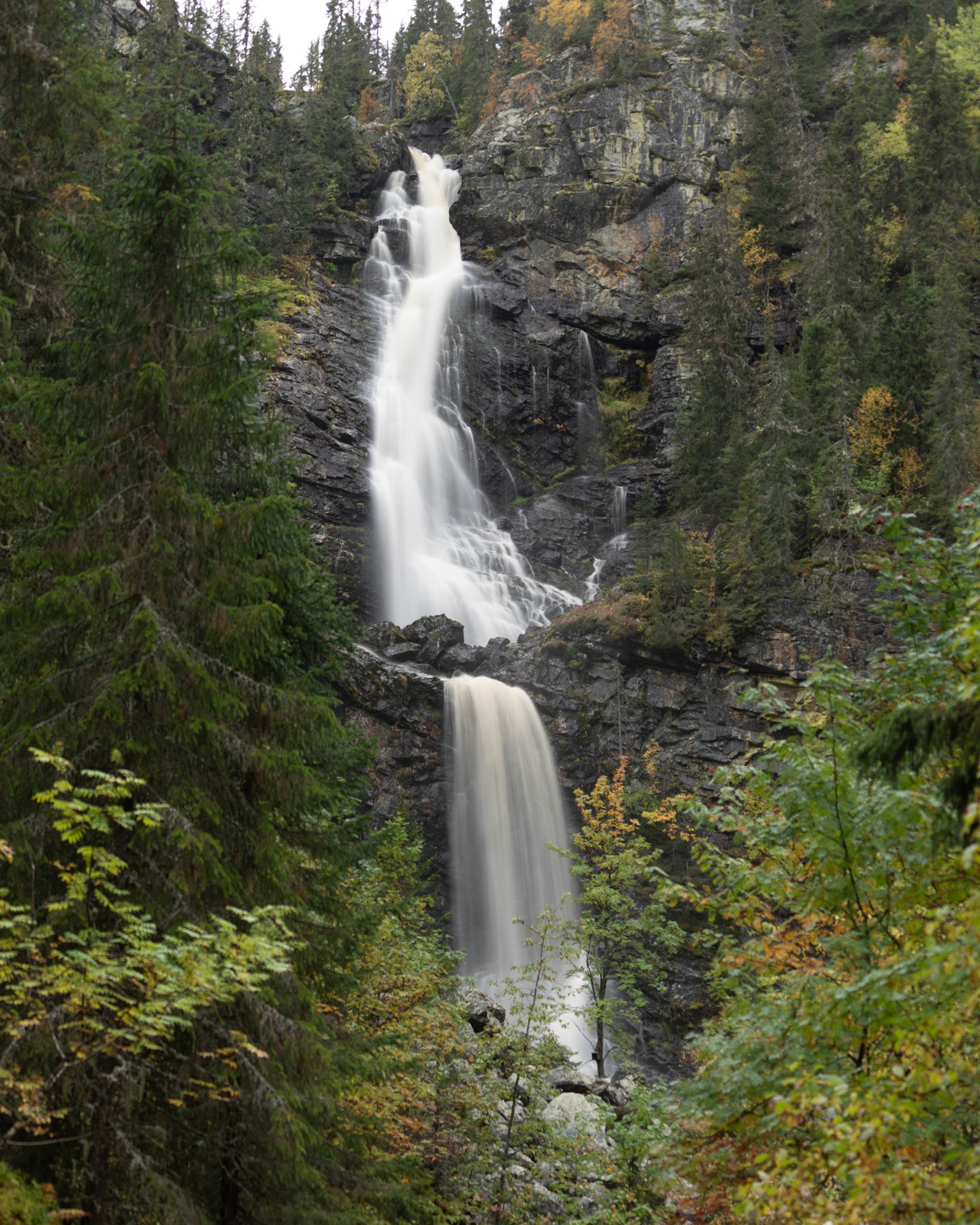 Fettjeåfallet Vemdalen