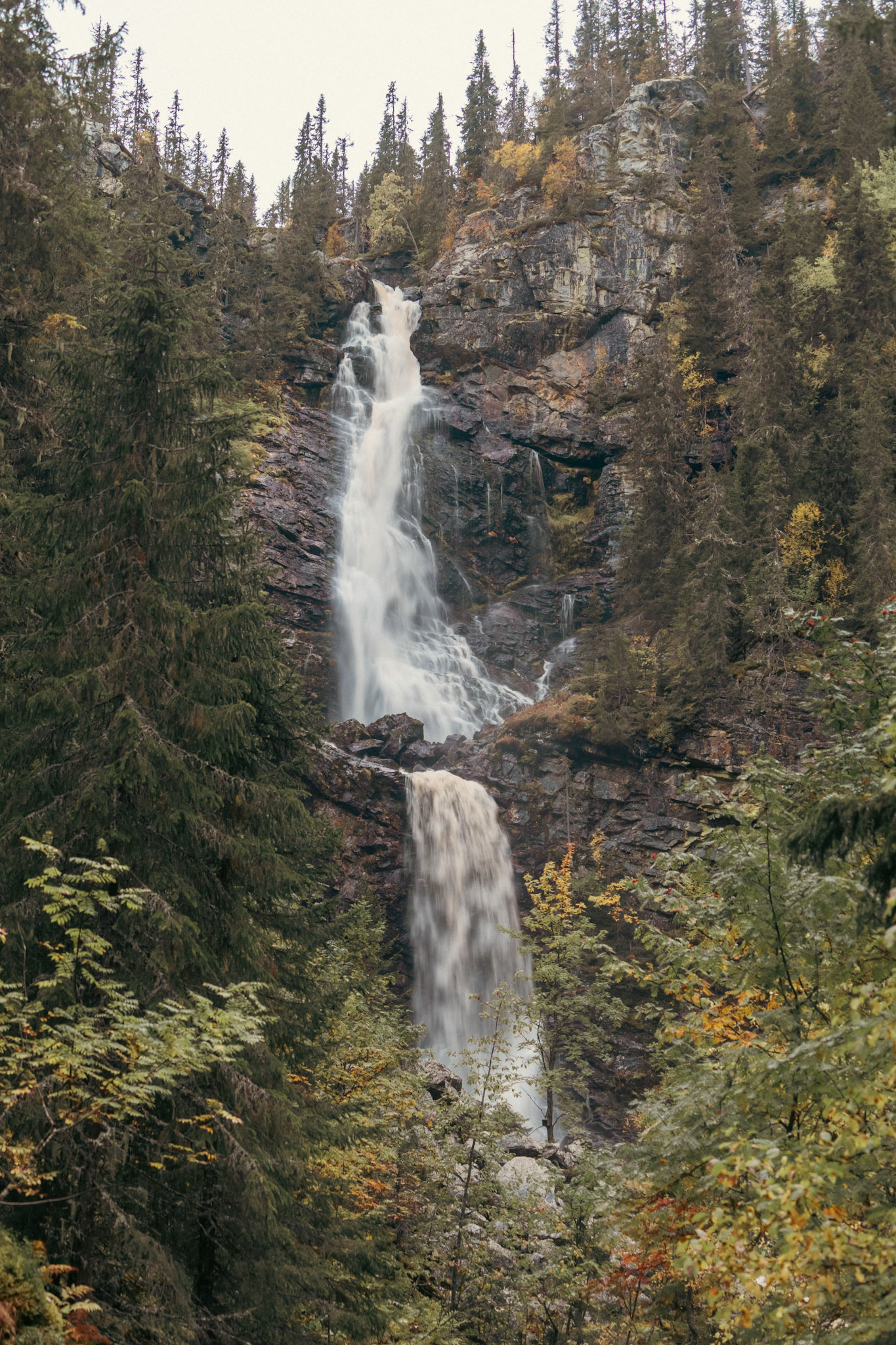 Fettjeåfallet Vemdalen