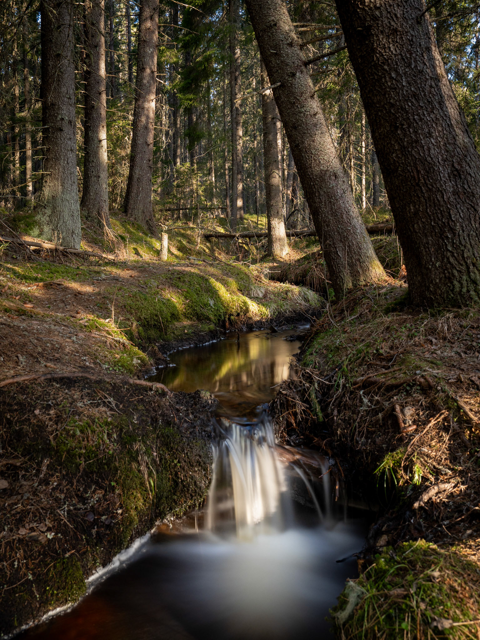 Skuleskogens National Park