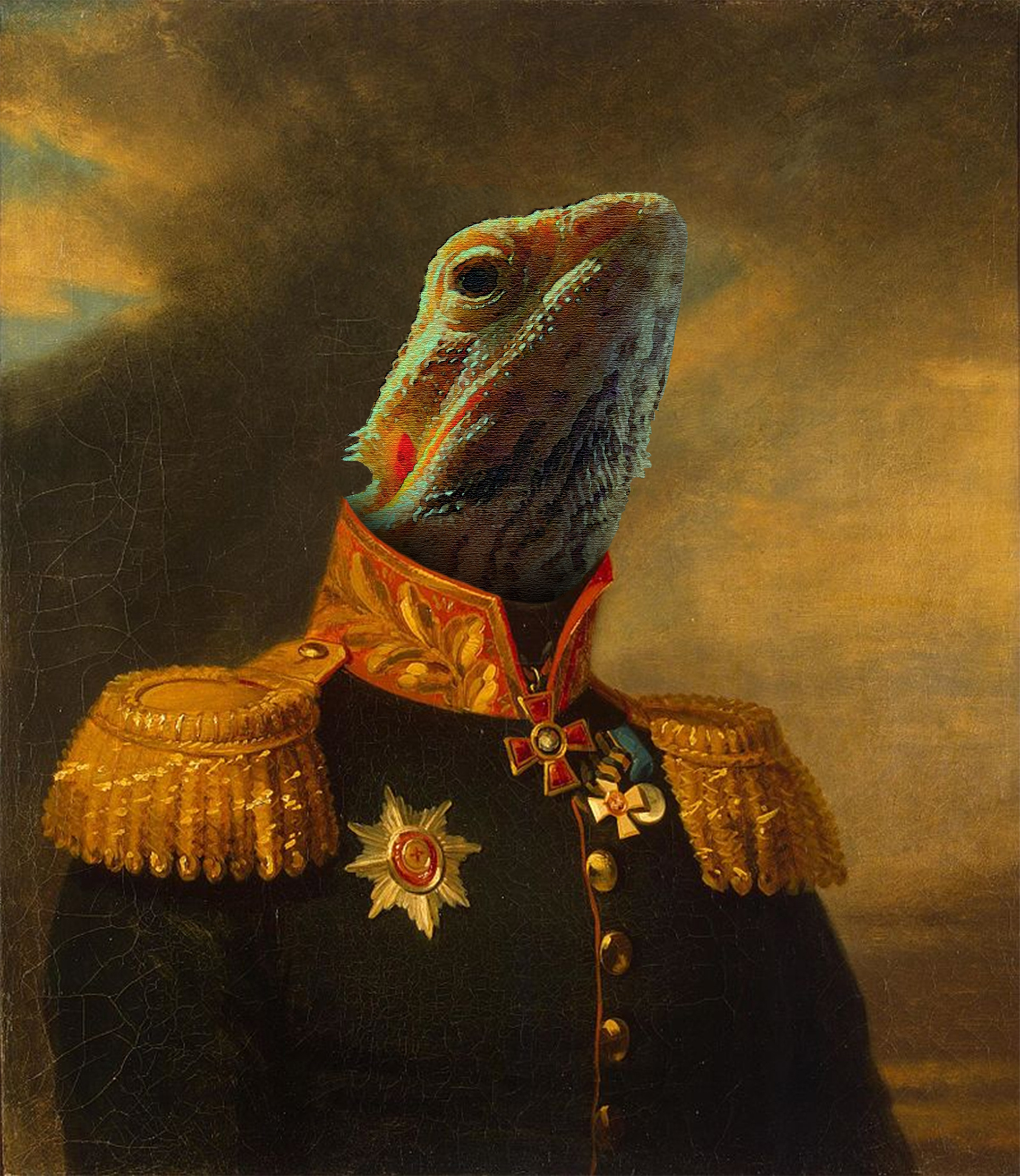 Photoshop 2023 - Profiel foto huisdier Connor