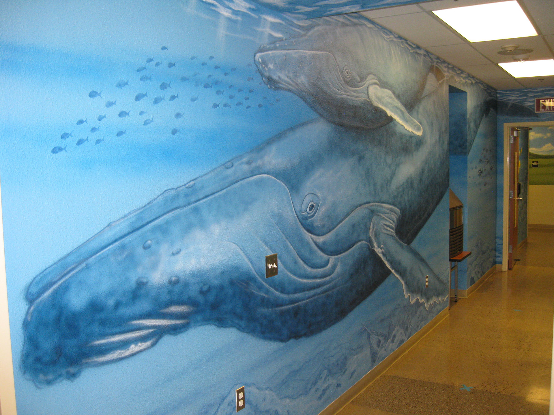 Humpback Whales (Riverside Elementary Nurse's Office)