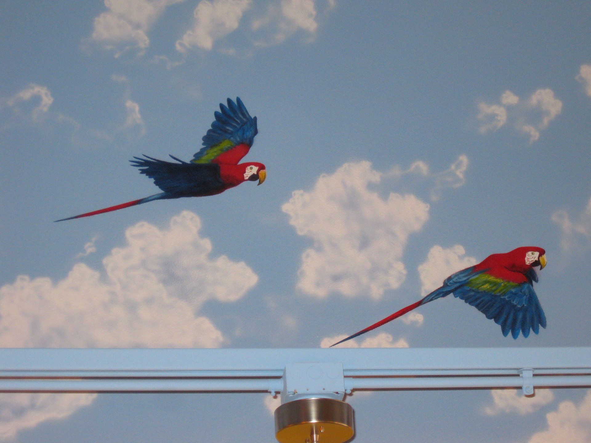 Macaws Soaring (Yogurt Jungle)