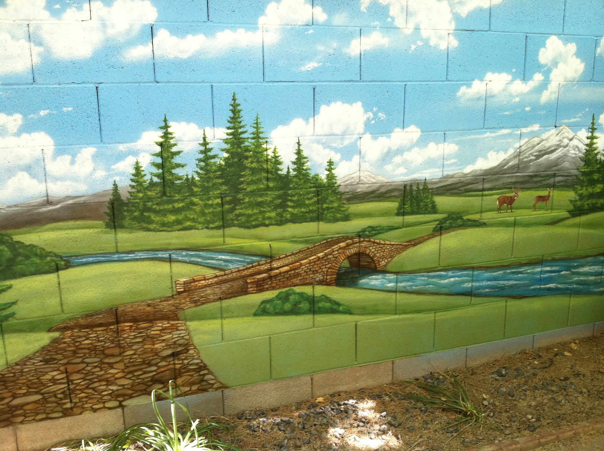 Rolling Hills Closeup (Backyard Wall)