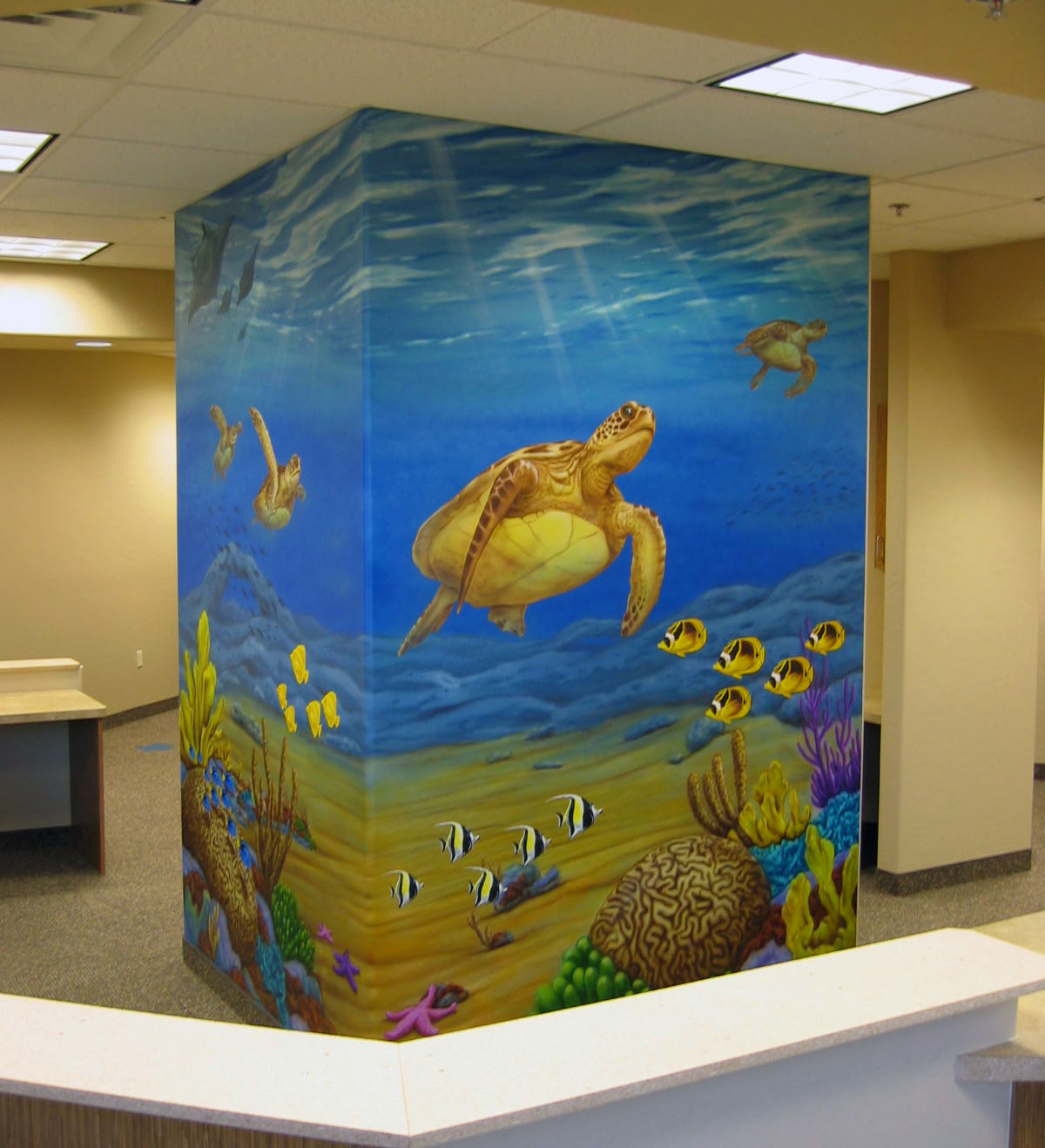 Sea Turtle (Desert Shores Pediatrics)