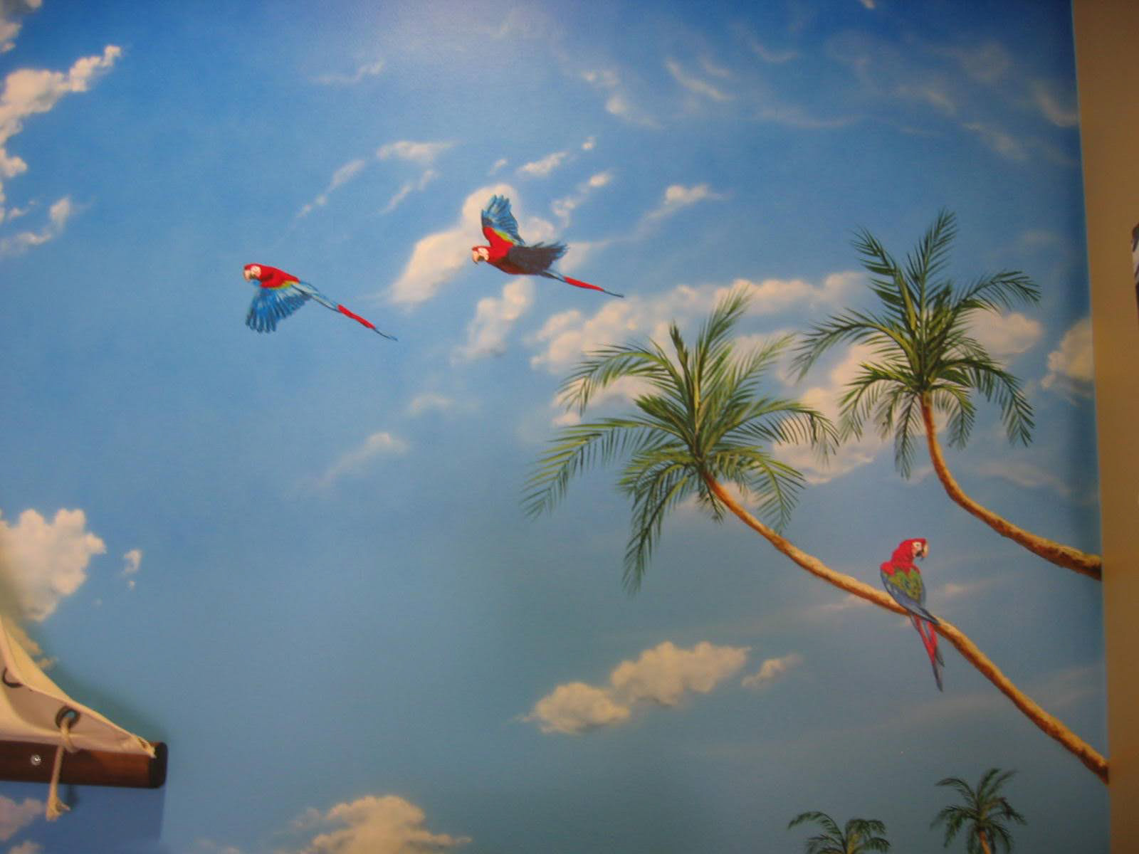 Macaws Closeup (Impressions Dental)