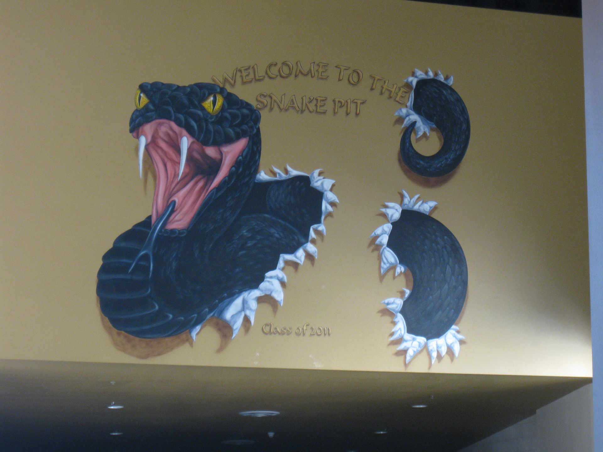 Snake Pit (Verrado High School Cafeteria)