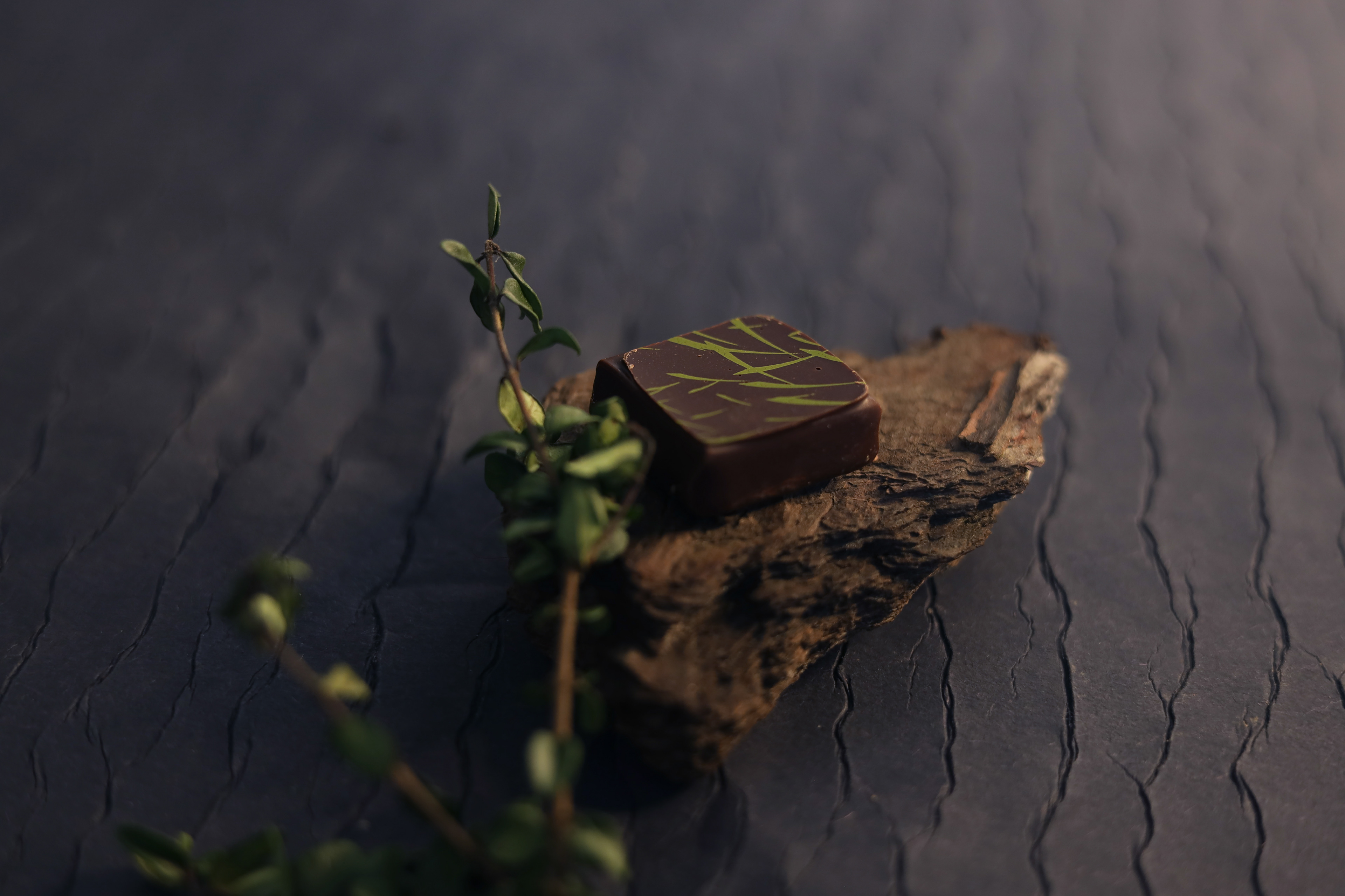 incroyableschocolats.edwart (4) © 2022 juliadecassin