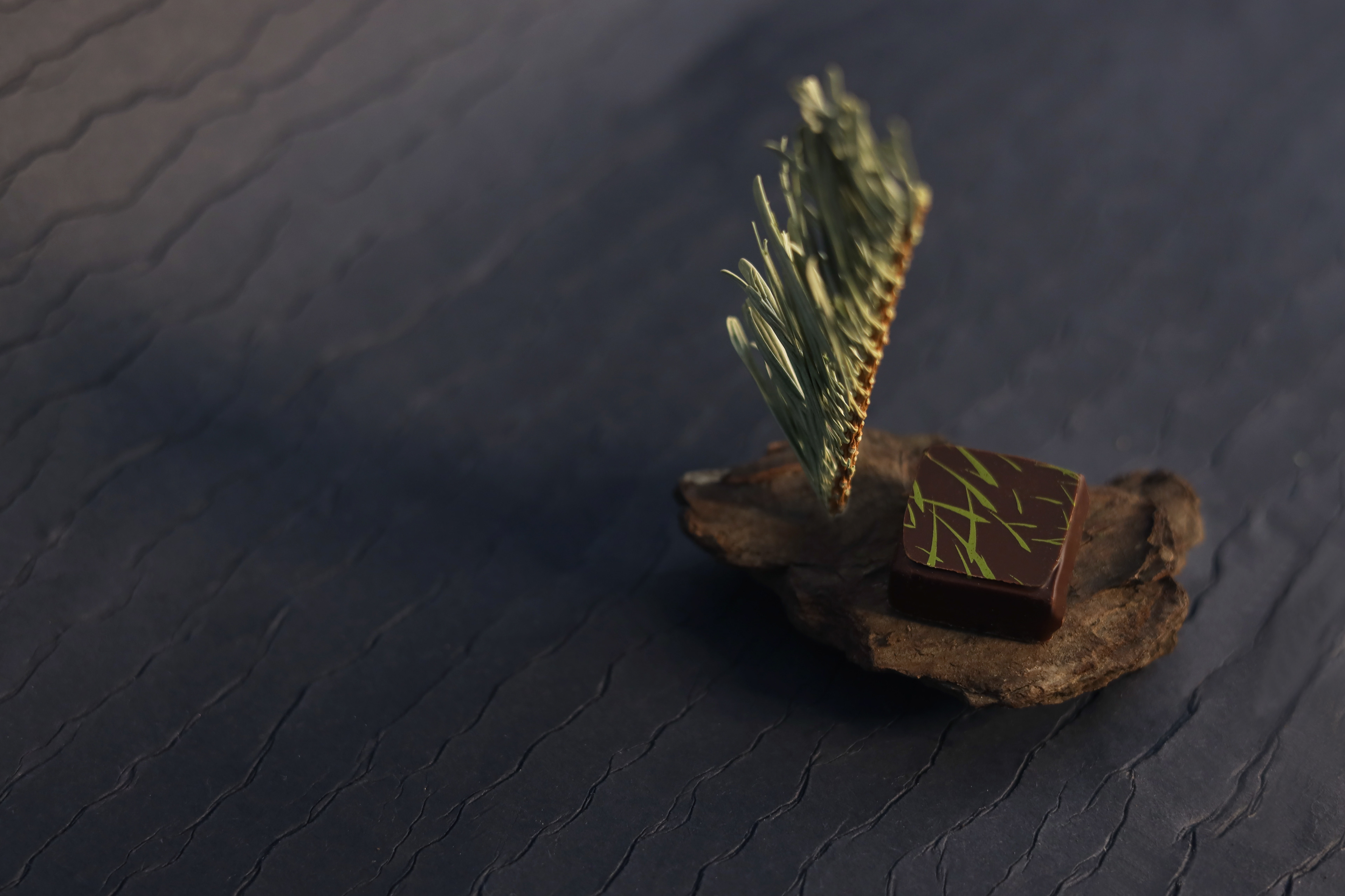 incroyableschocolats.edwart (5) © 2022 juliadecassin