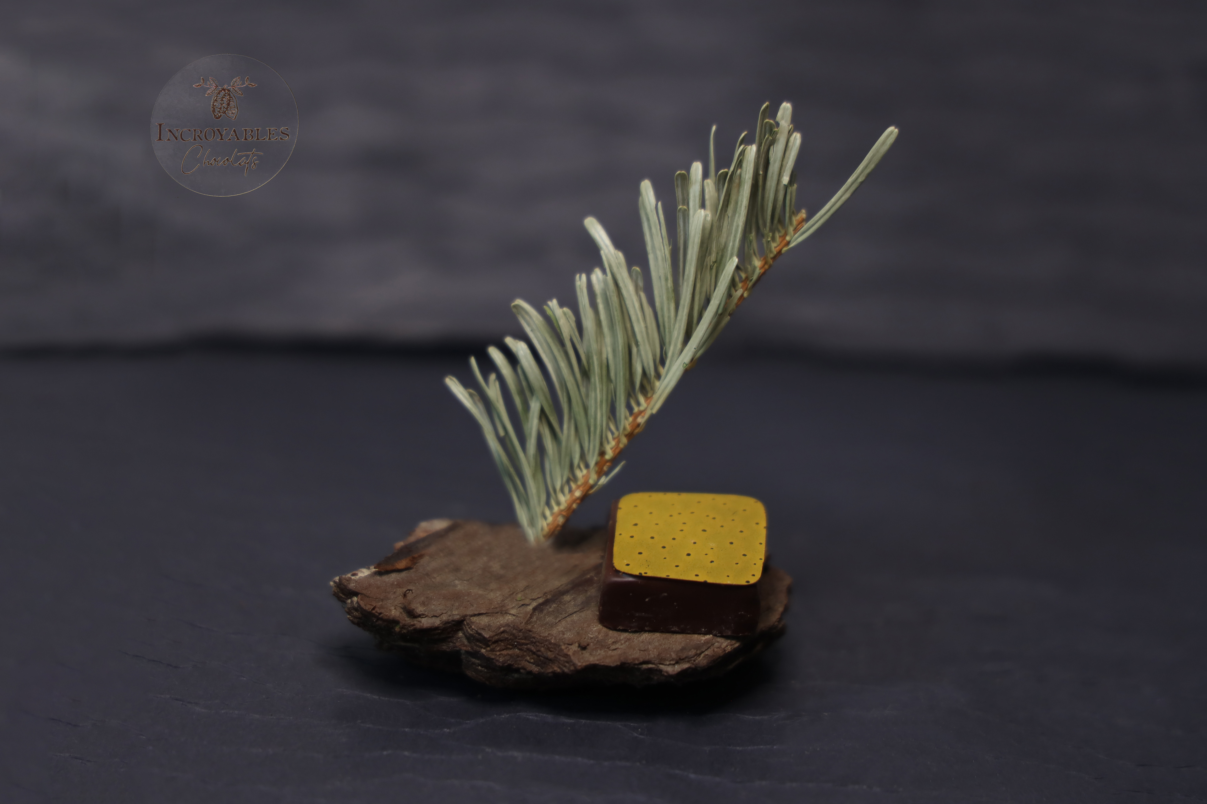 incroyableschocolats.edwart (3) © 2021 juliadecassin