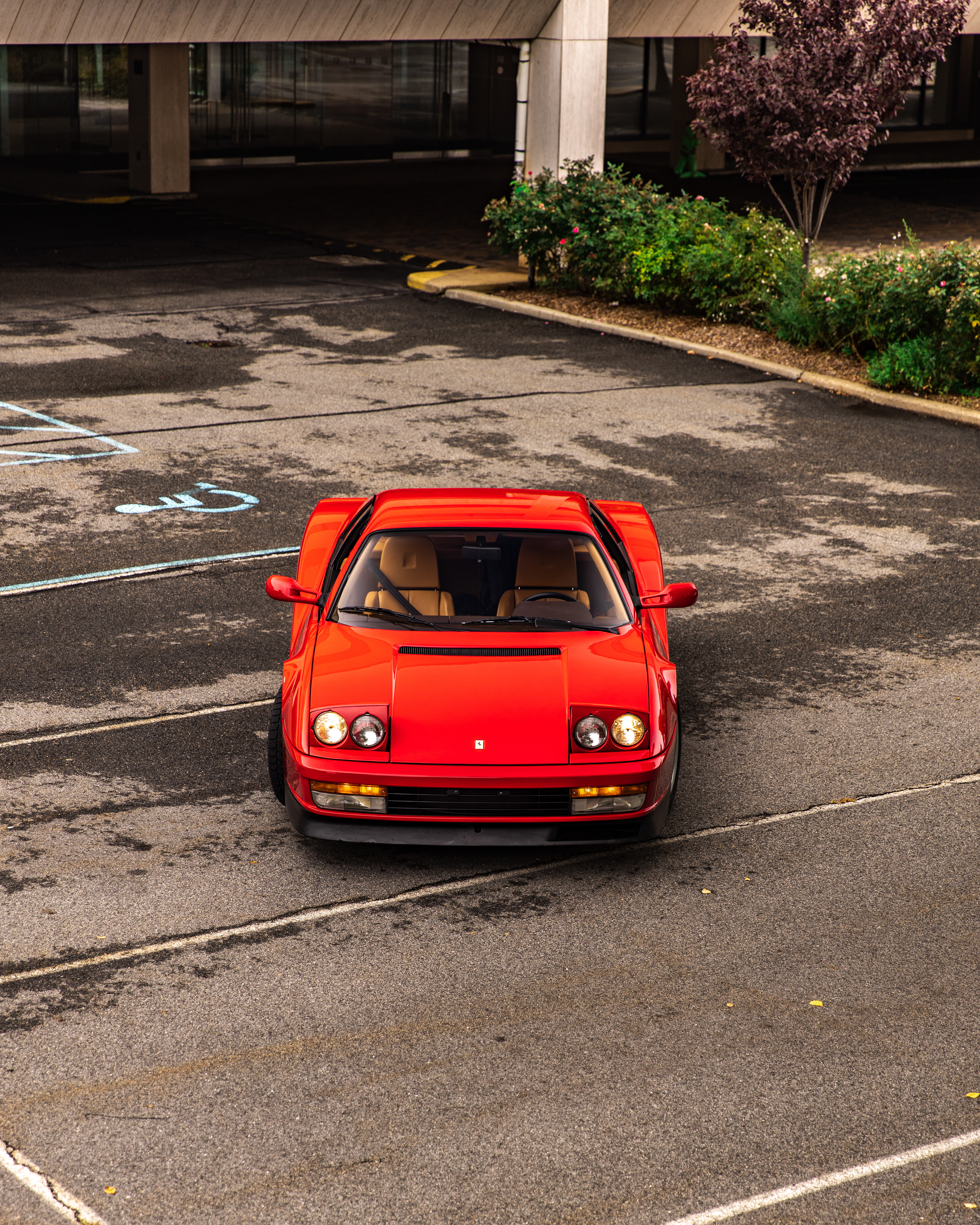 Testarossa