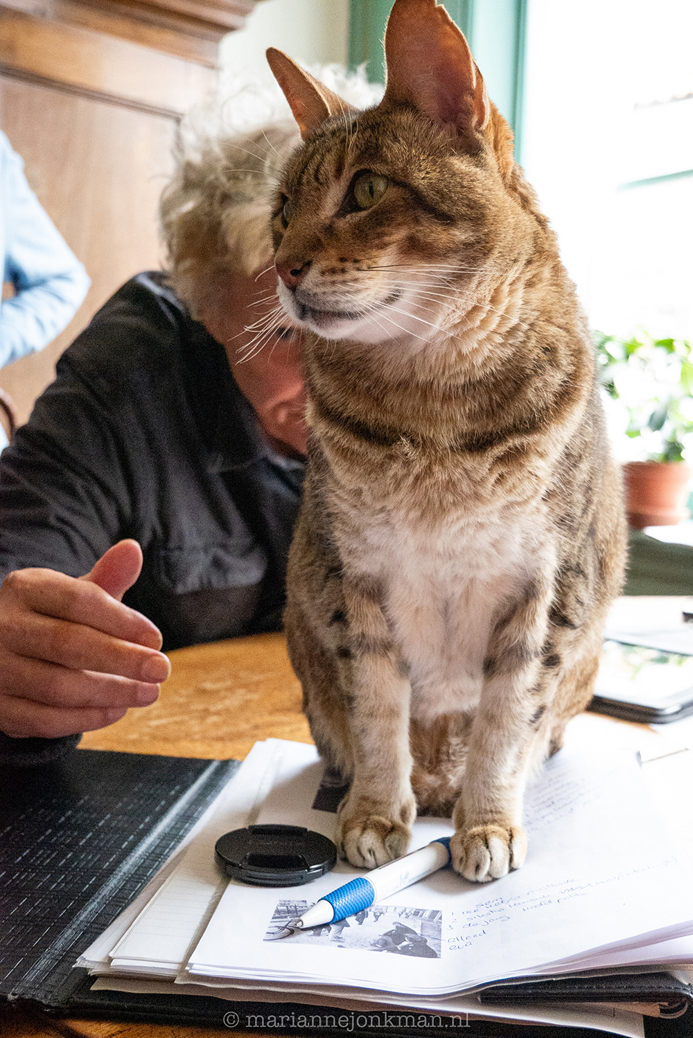 'making of' het boek