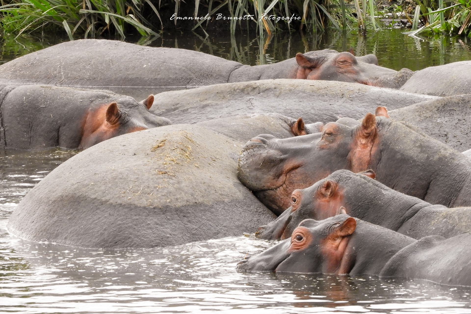 Tanzania - Serengeti National Park