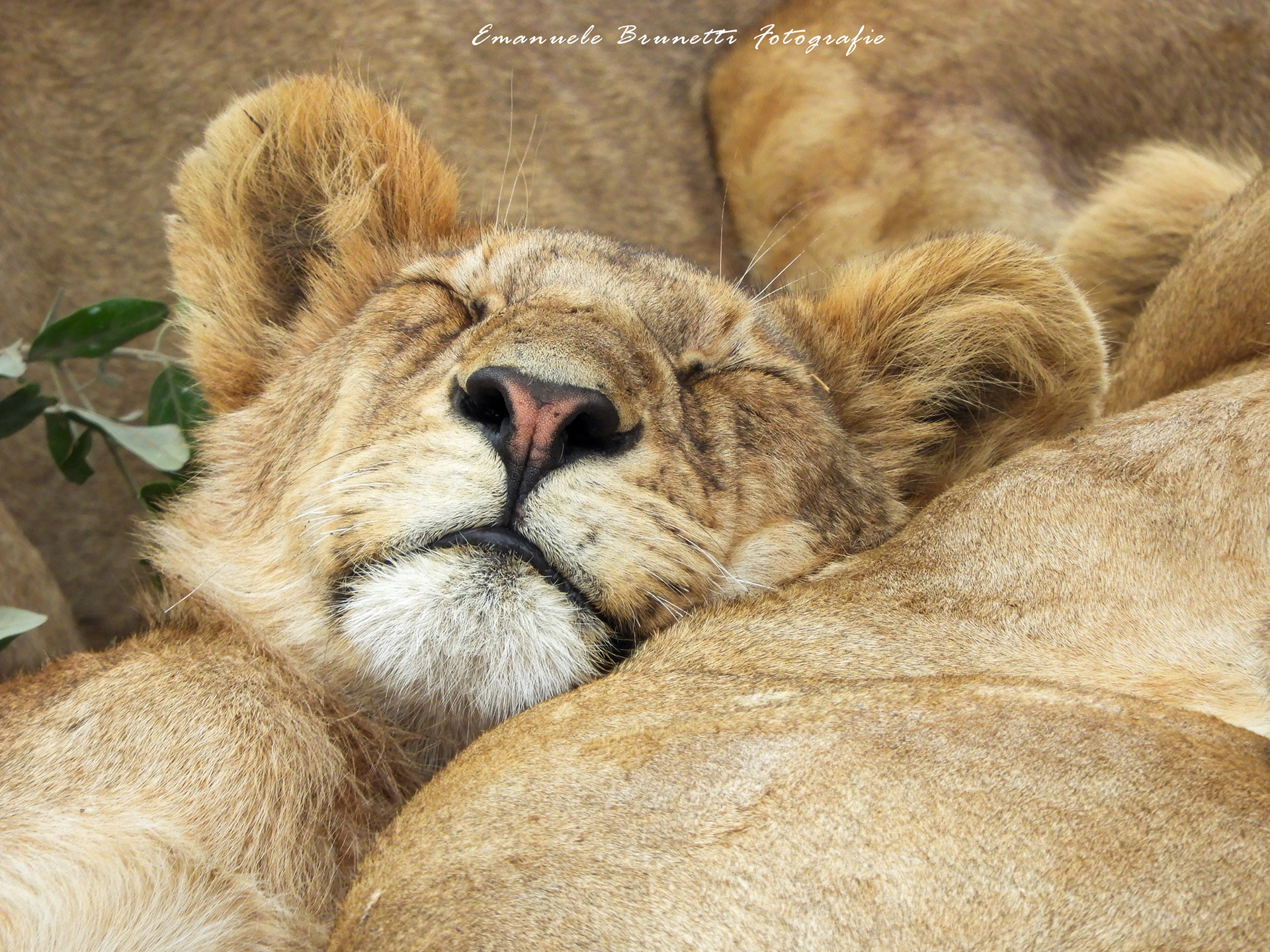 Tanzania - Serengeti National Park