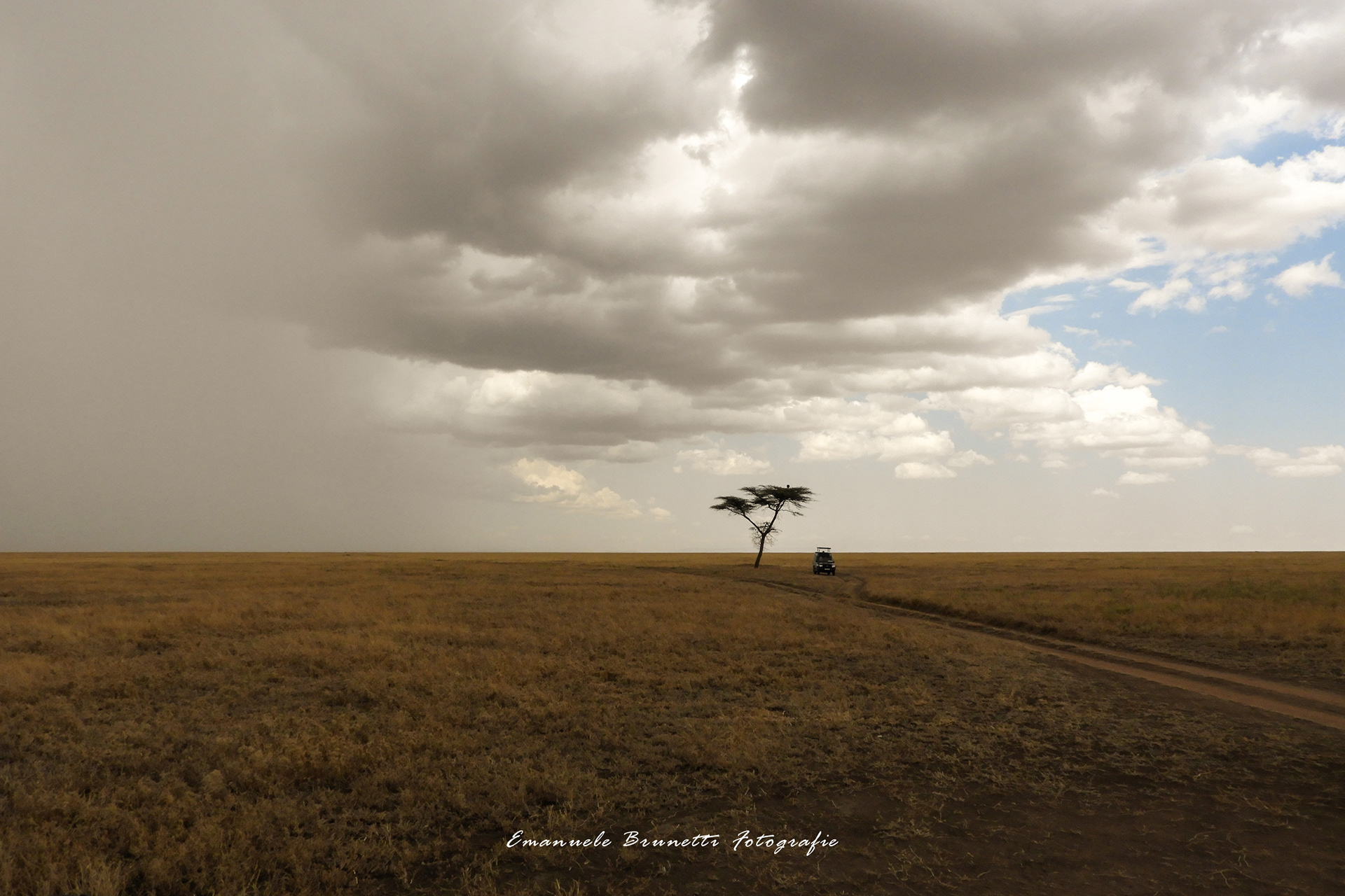 Tanzania - Serengeti