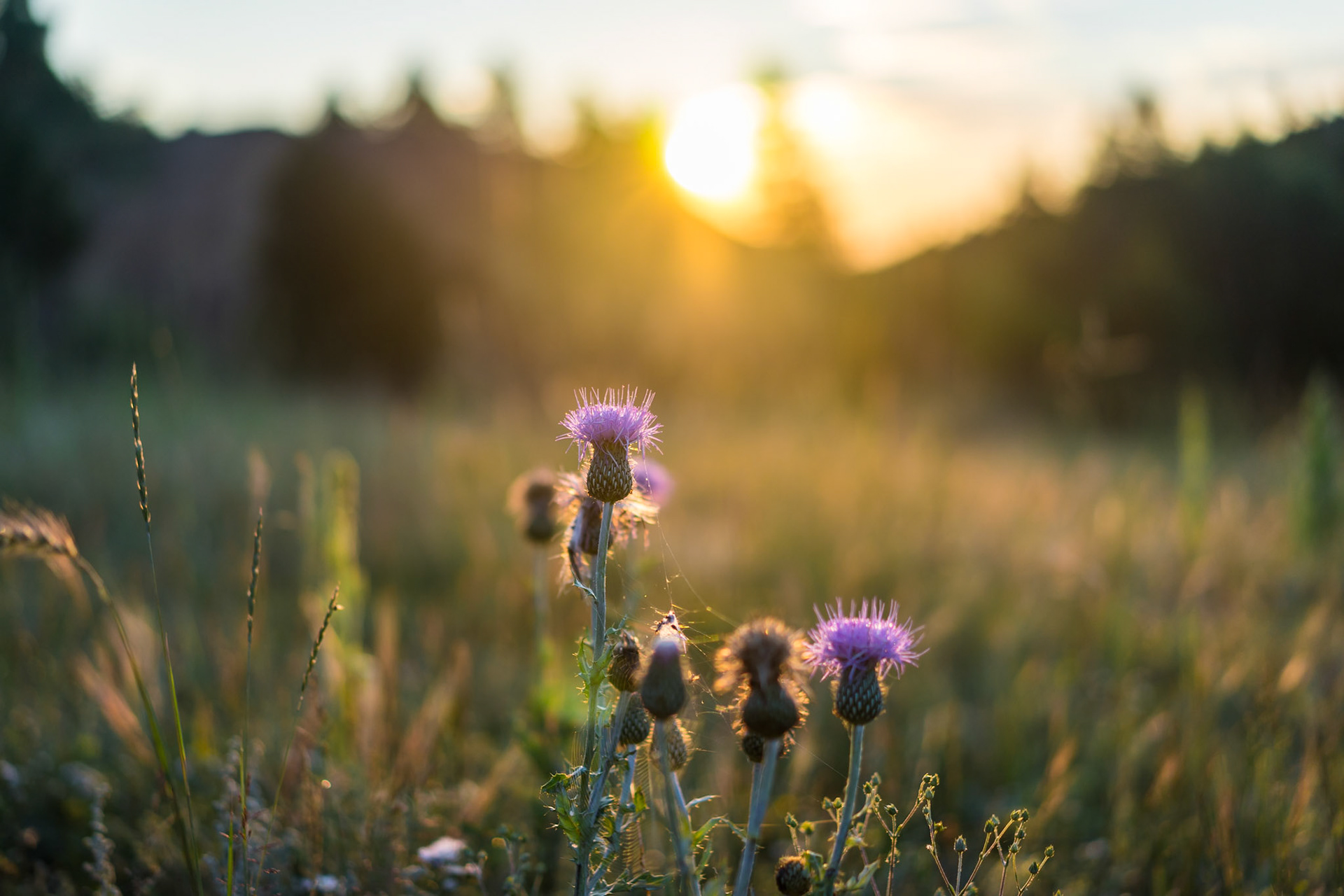 Idaho Springs, Colorado