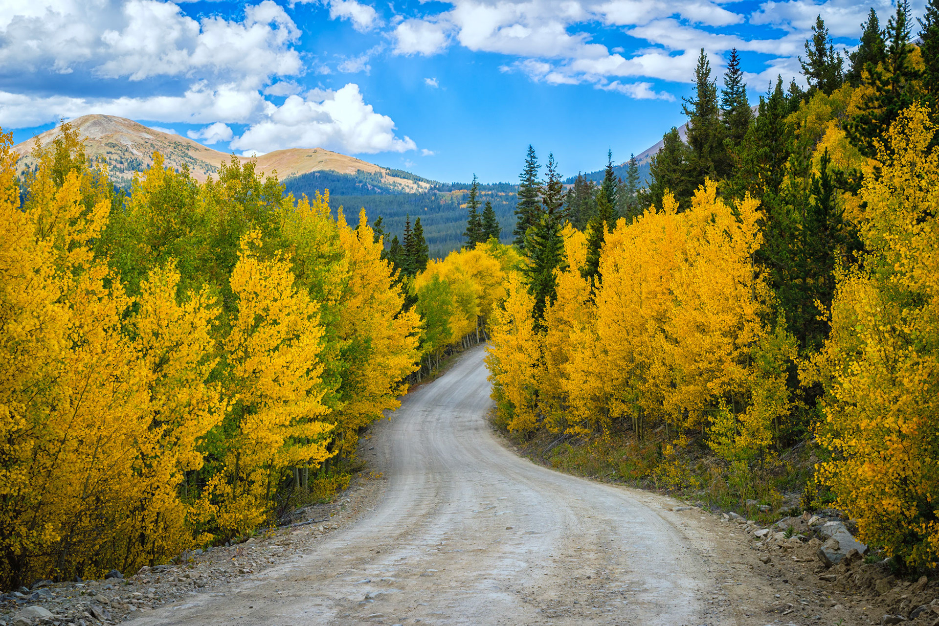 Boreas Pass Road