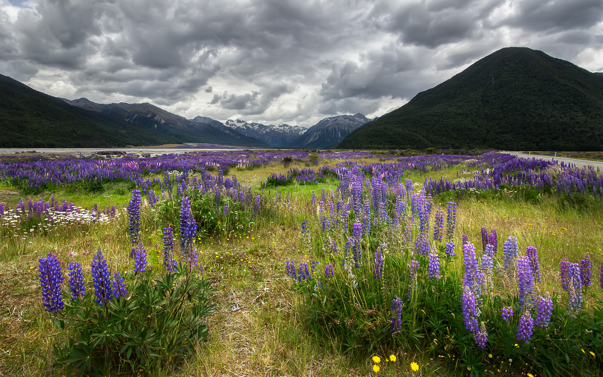 South Island, NZ