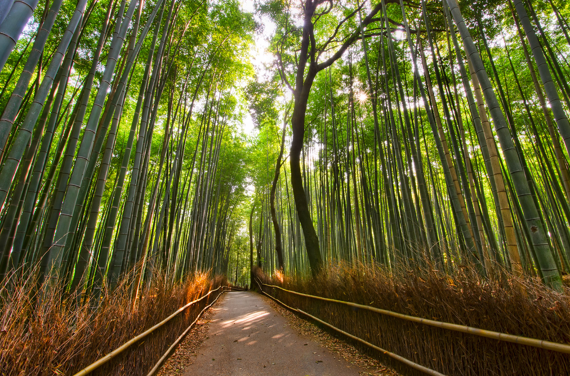 Kyoto, Japan