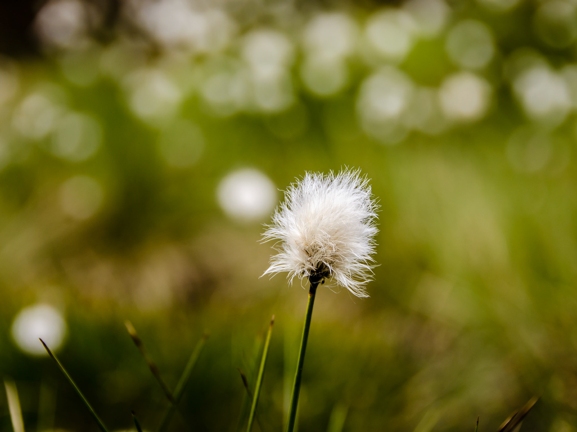 Preikestolen, Norway