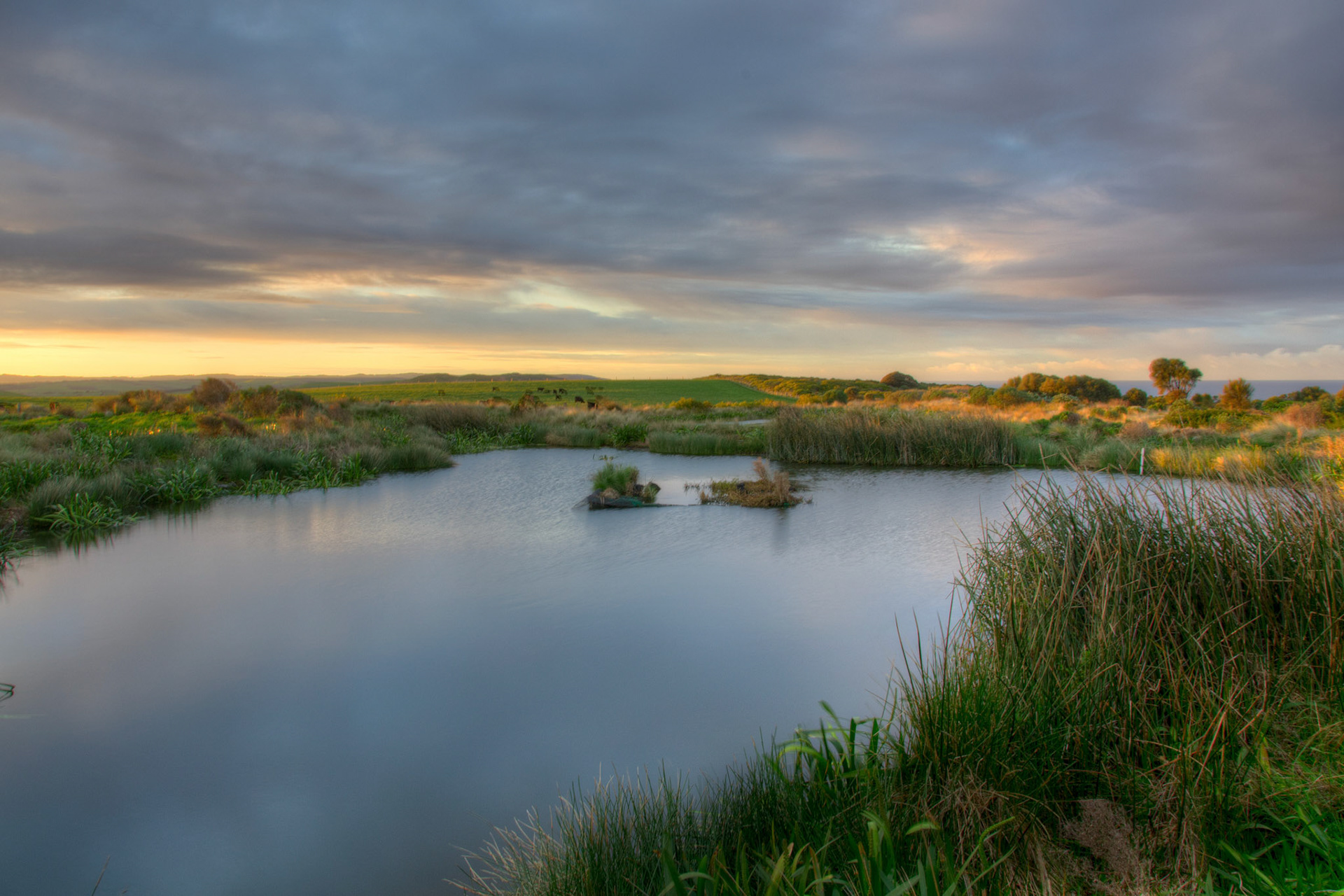 Australia - Great Ocean Road - Random pond besind the 12 Apostles visitor center parking lot