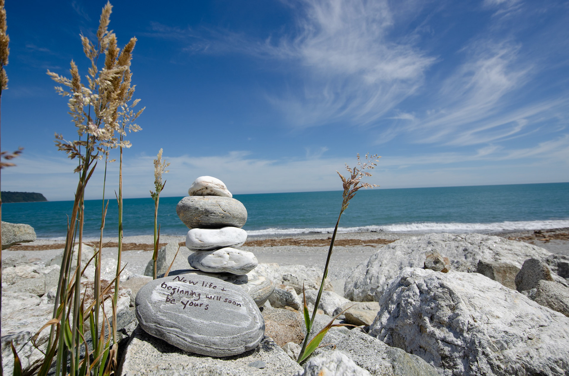 Saw this rock on the west coast of South Island New Zealand on our way from Franz Josef