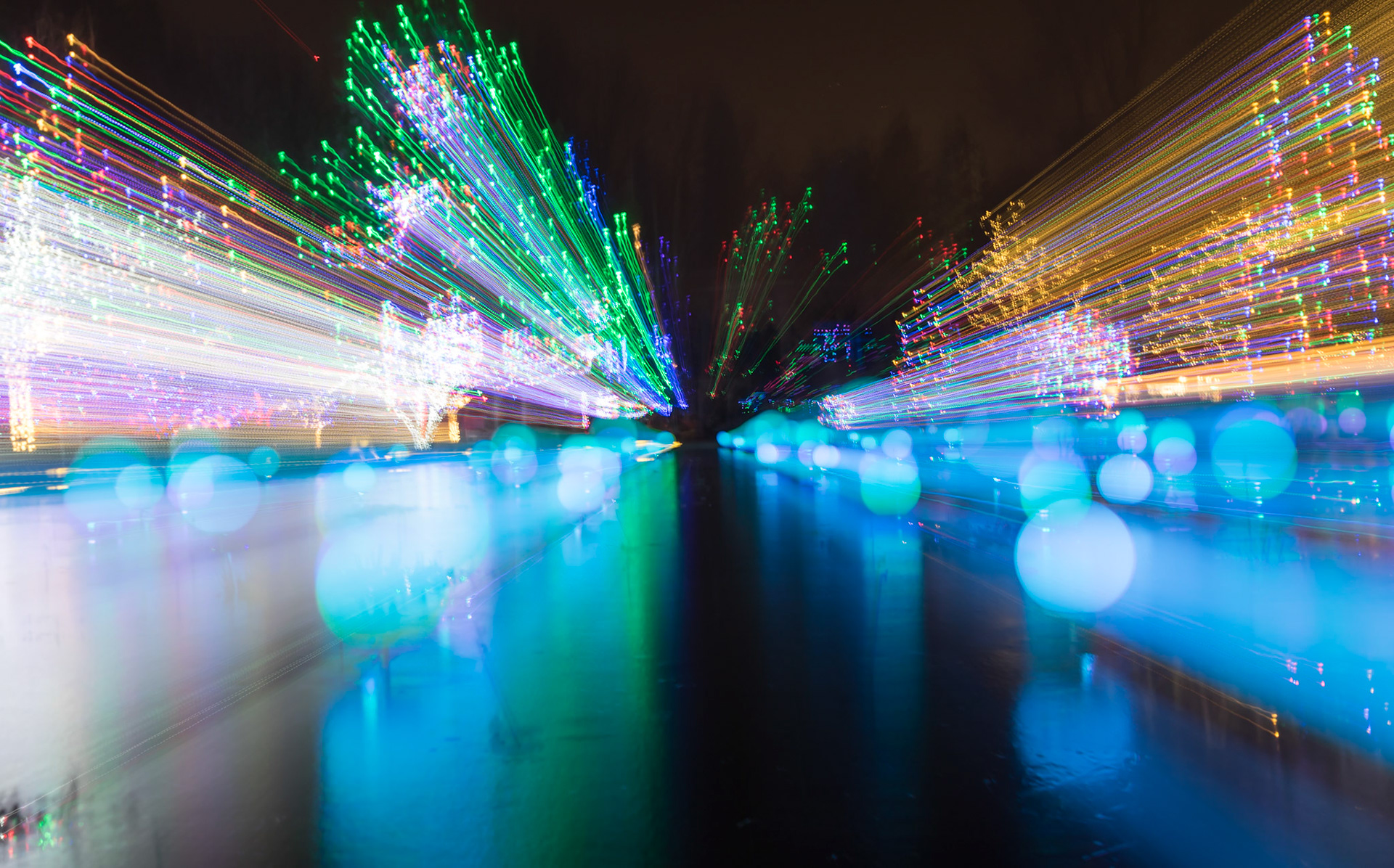 Denver Botanical Gardens