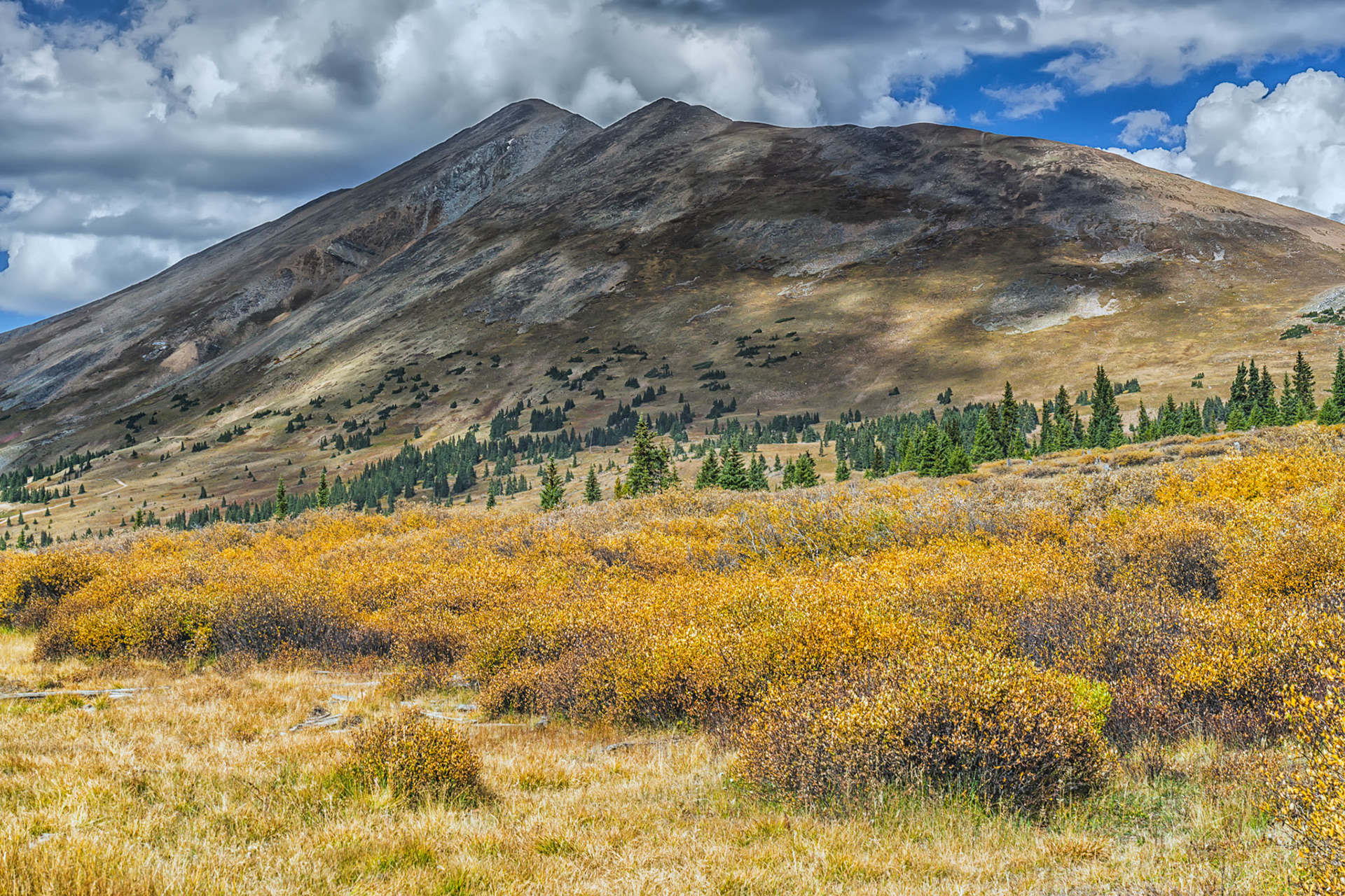 Top of Boreas Pass